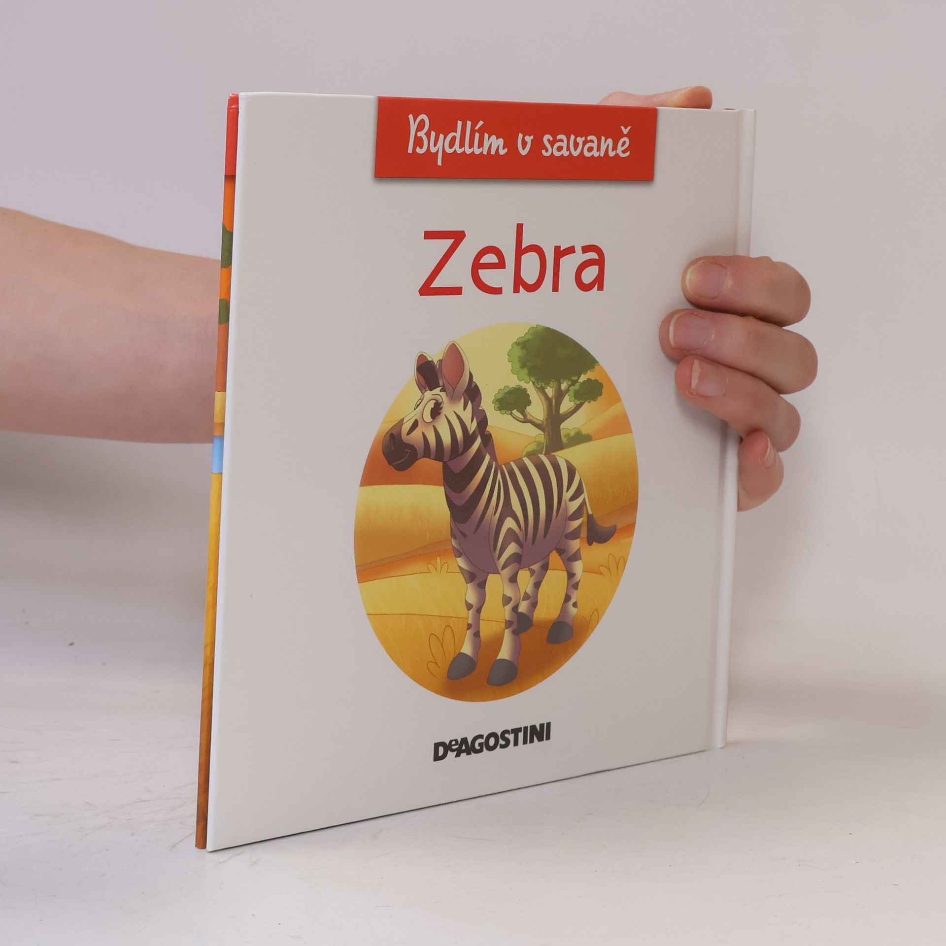 Autorenkollektiv Bydlím v savaně 5. Zebra