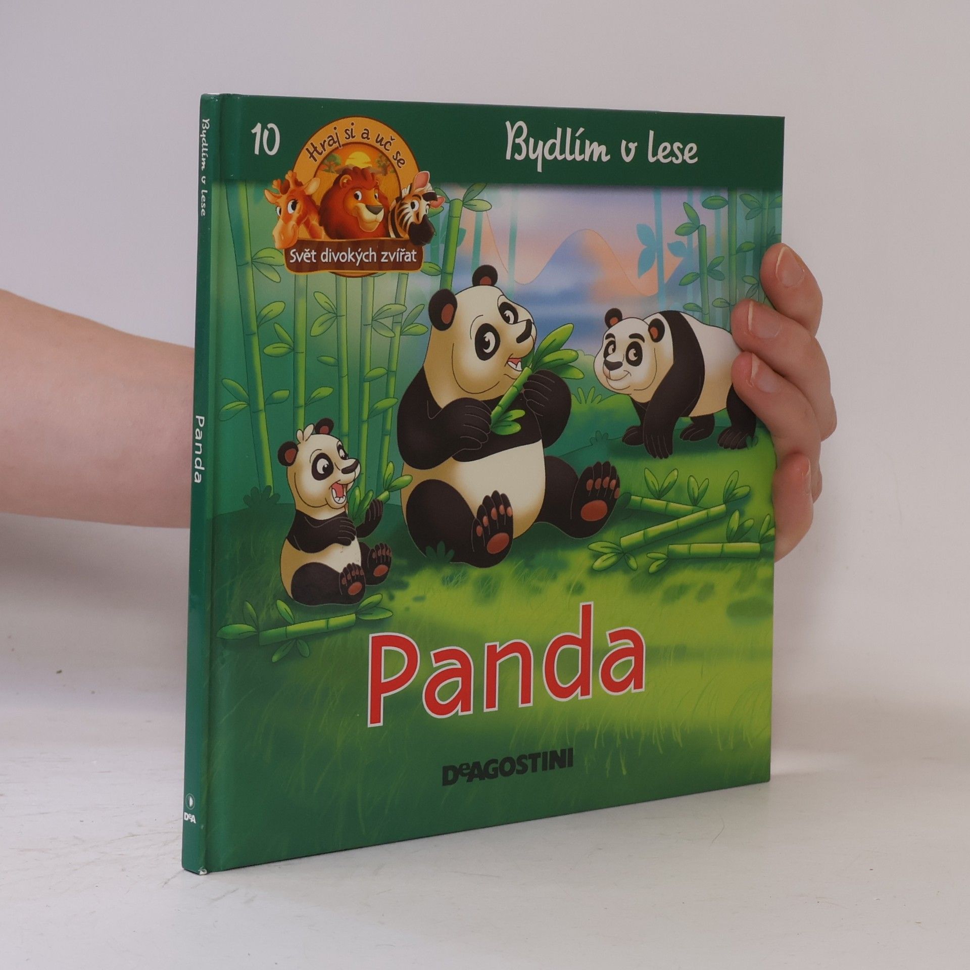 Autorenkollektiv Bydlím v lese 10. Panda