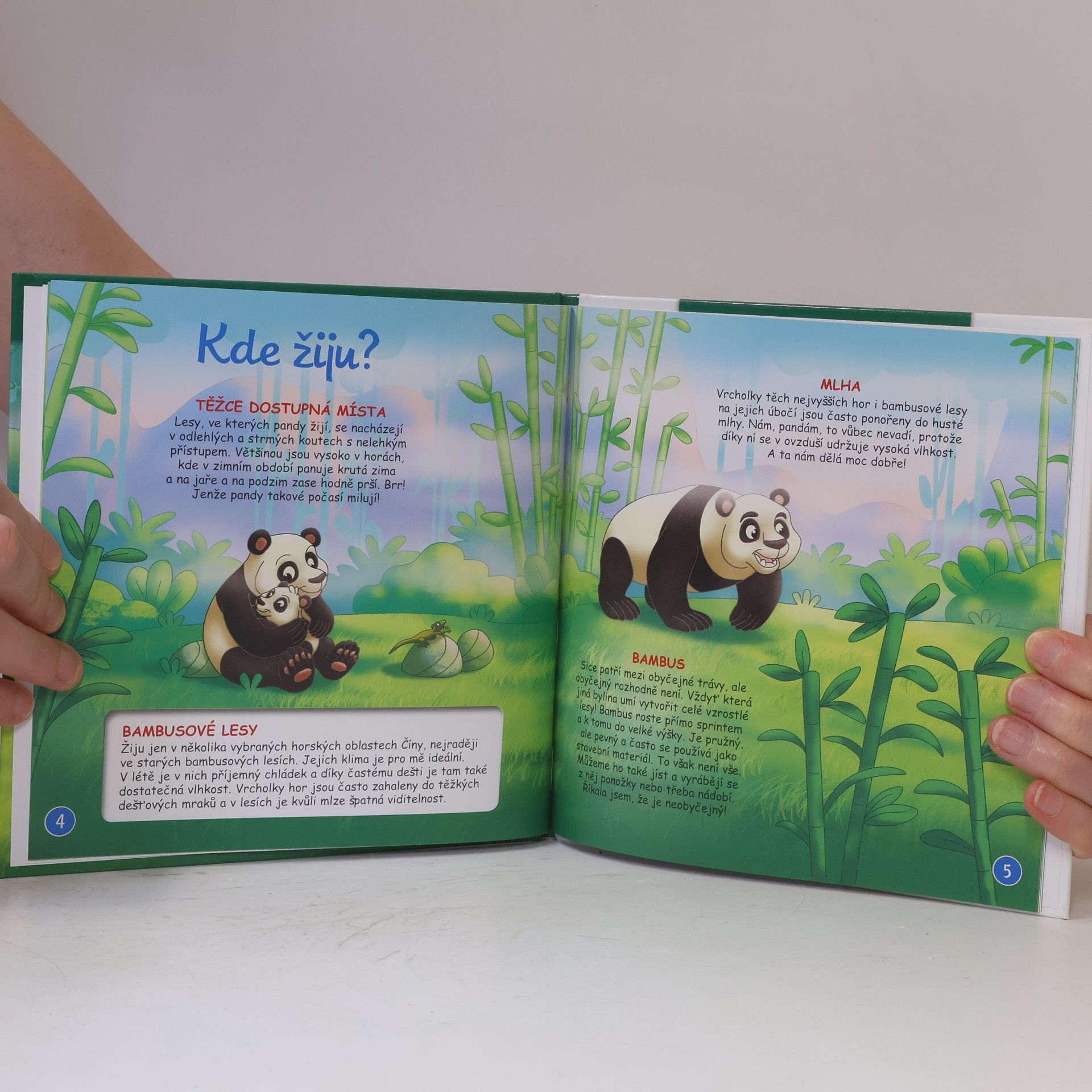 Autorenkollektiv Bydlím v lese 10. Panda