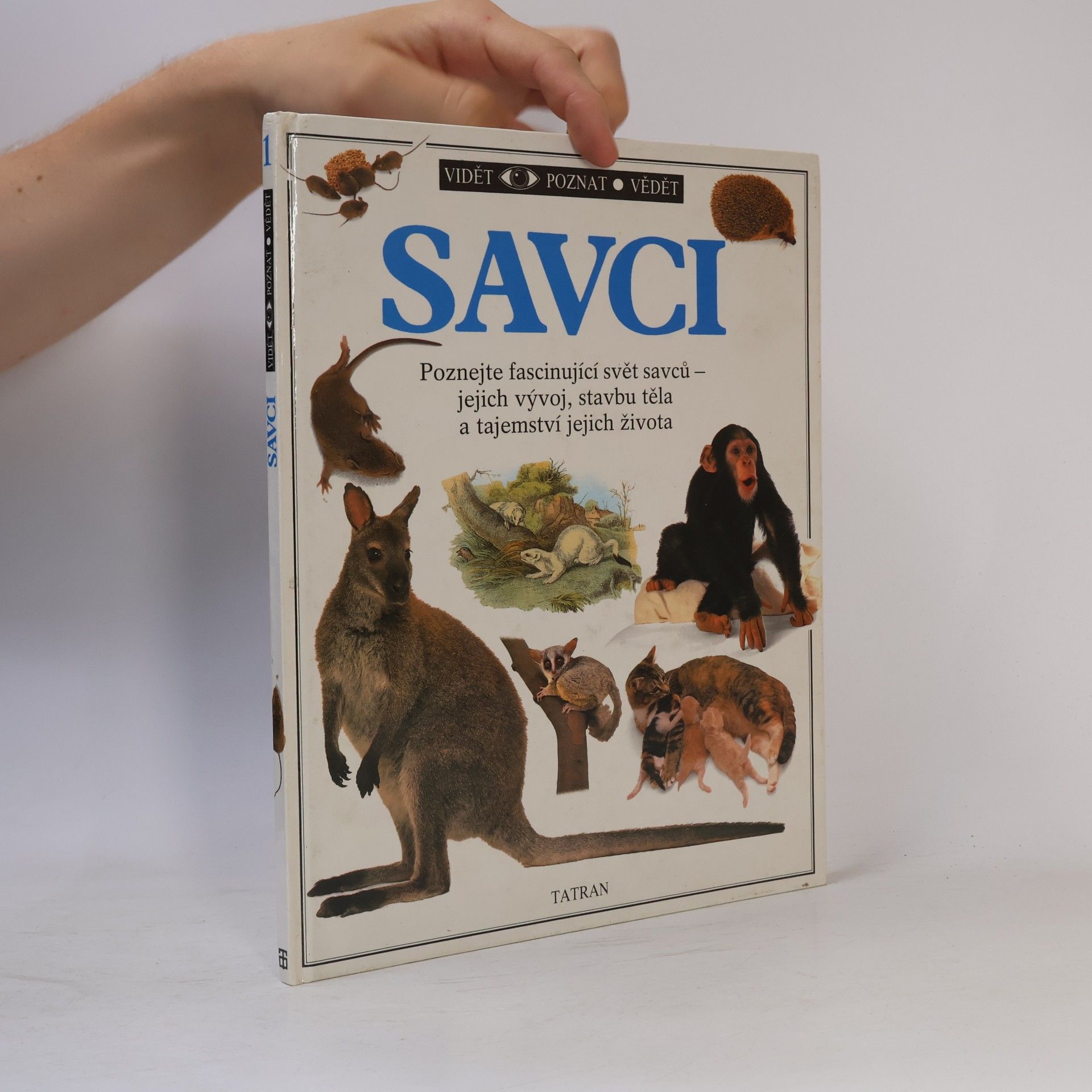 Steve Parker Savci