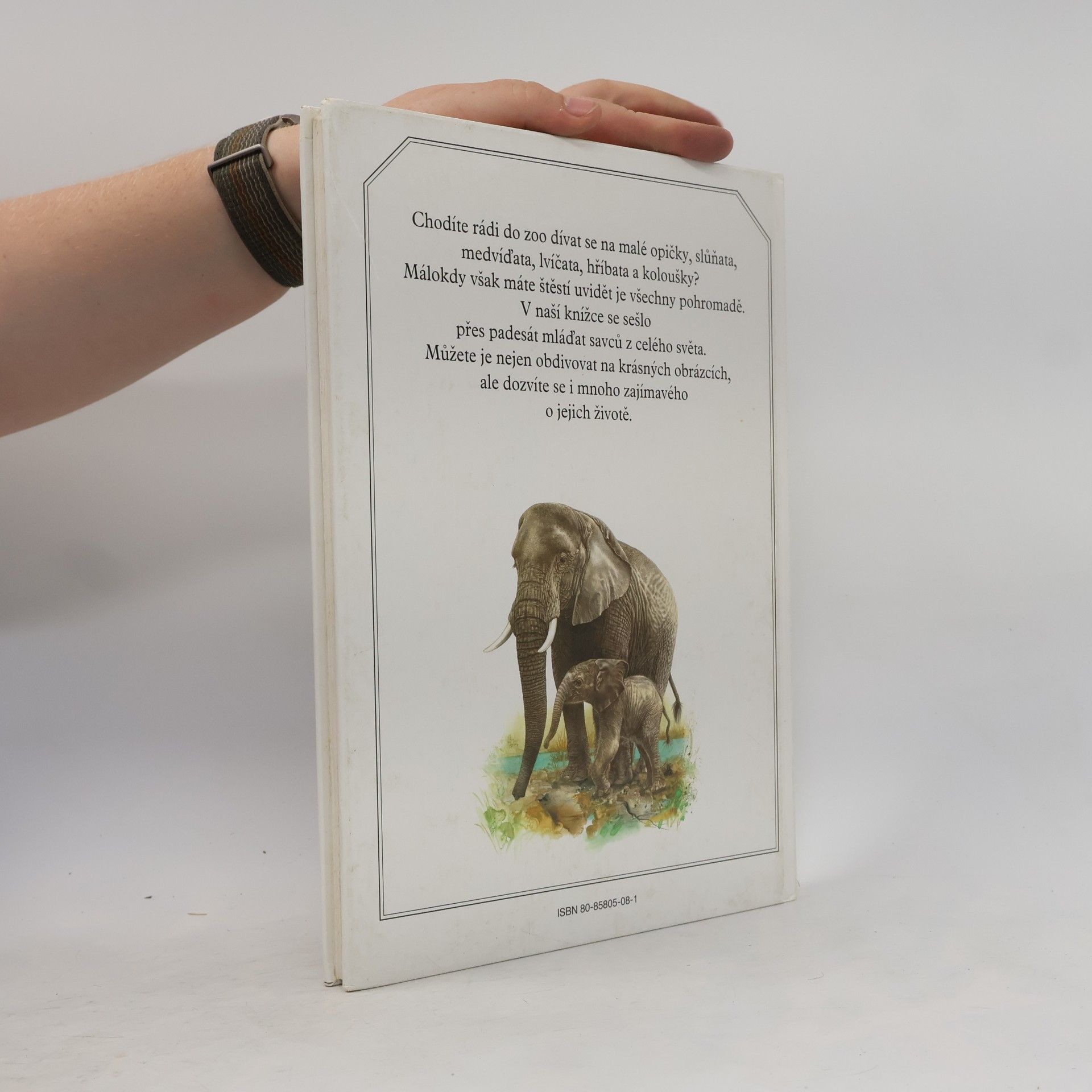 Evžen Kůs Mláďata v zoo : nejoblíbenější savci z celého světa v obrazech