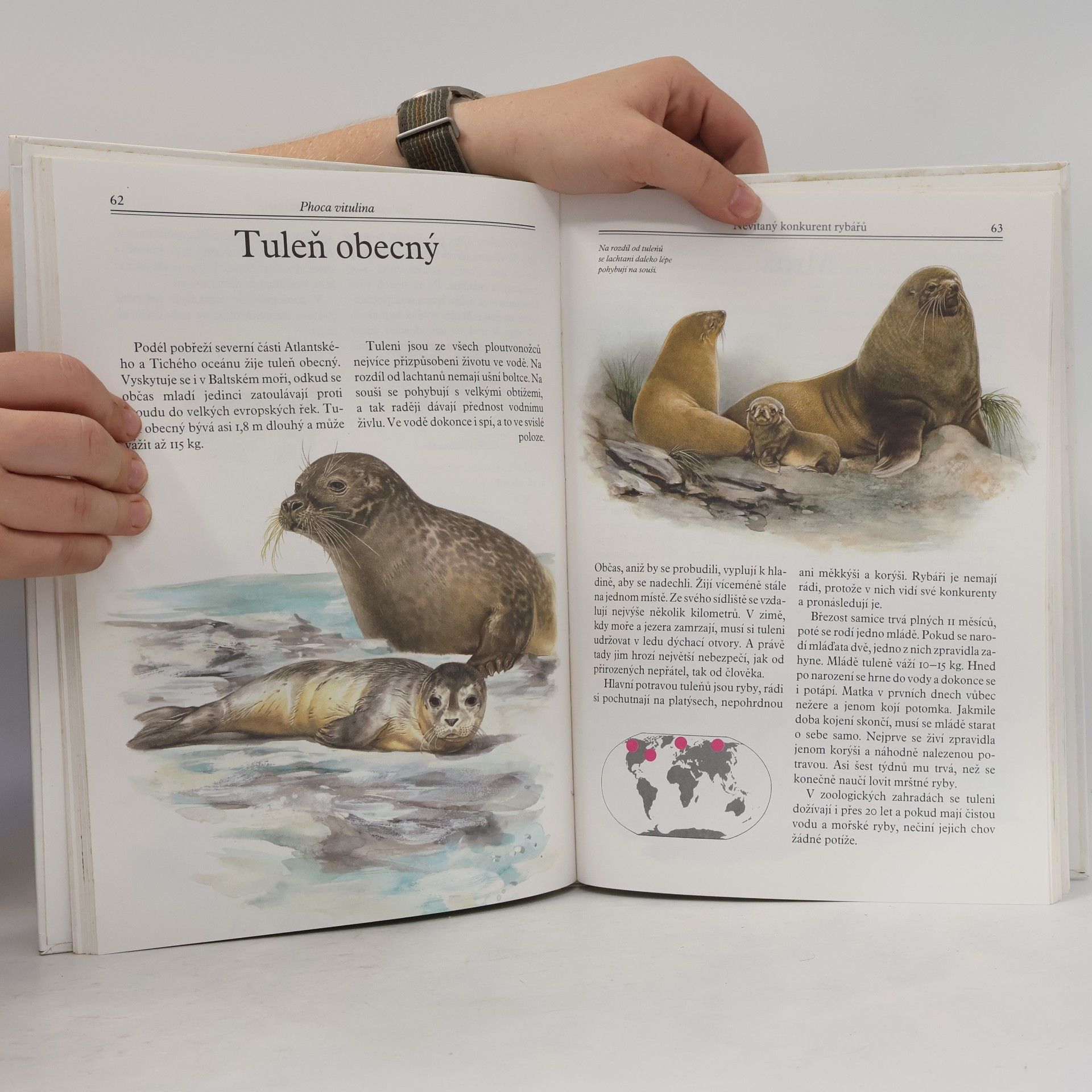 Evžen Kůs Mláďata v zoo : nejoblíbenější savci z celého světa v obrazech