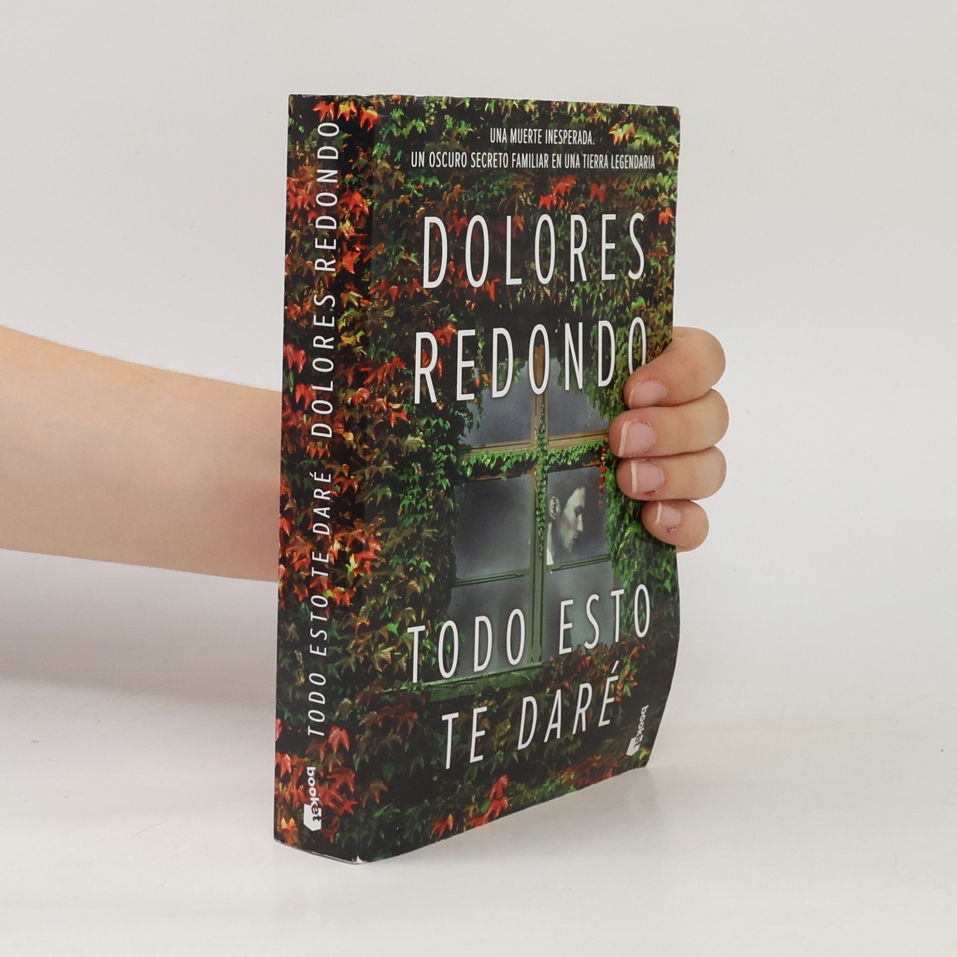 Dolores Redondo Todo esto te dare
