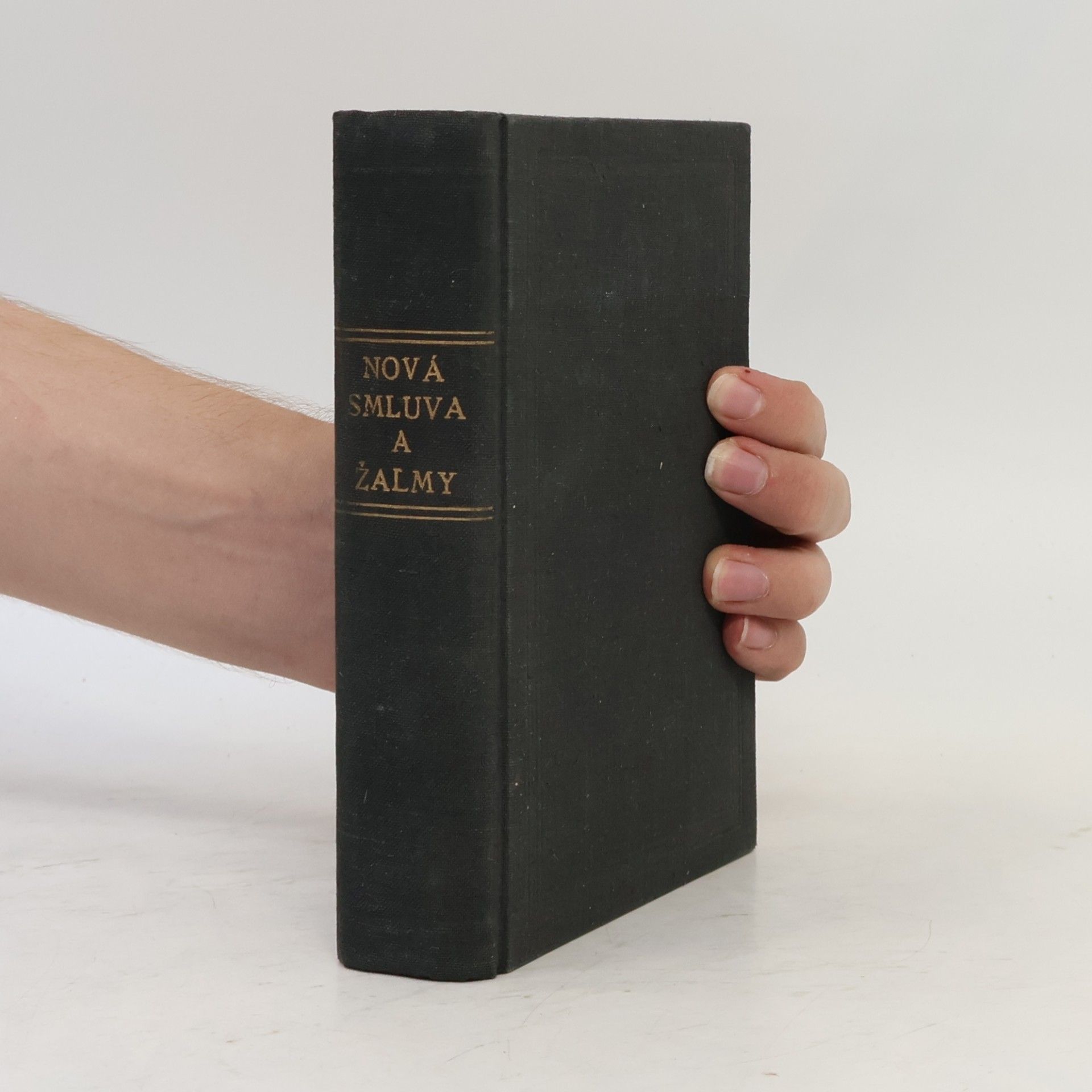 Autorenkollektiv Nová smluva Pána a nášho Spasiteľa Ježiša Krista a Žalmy