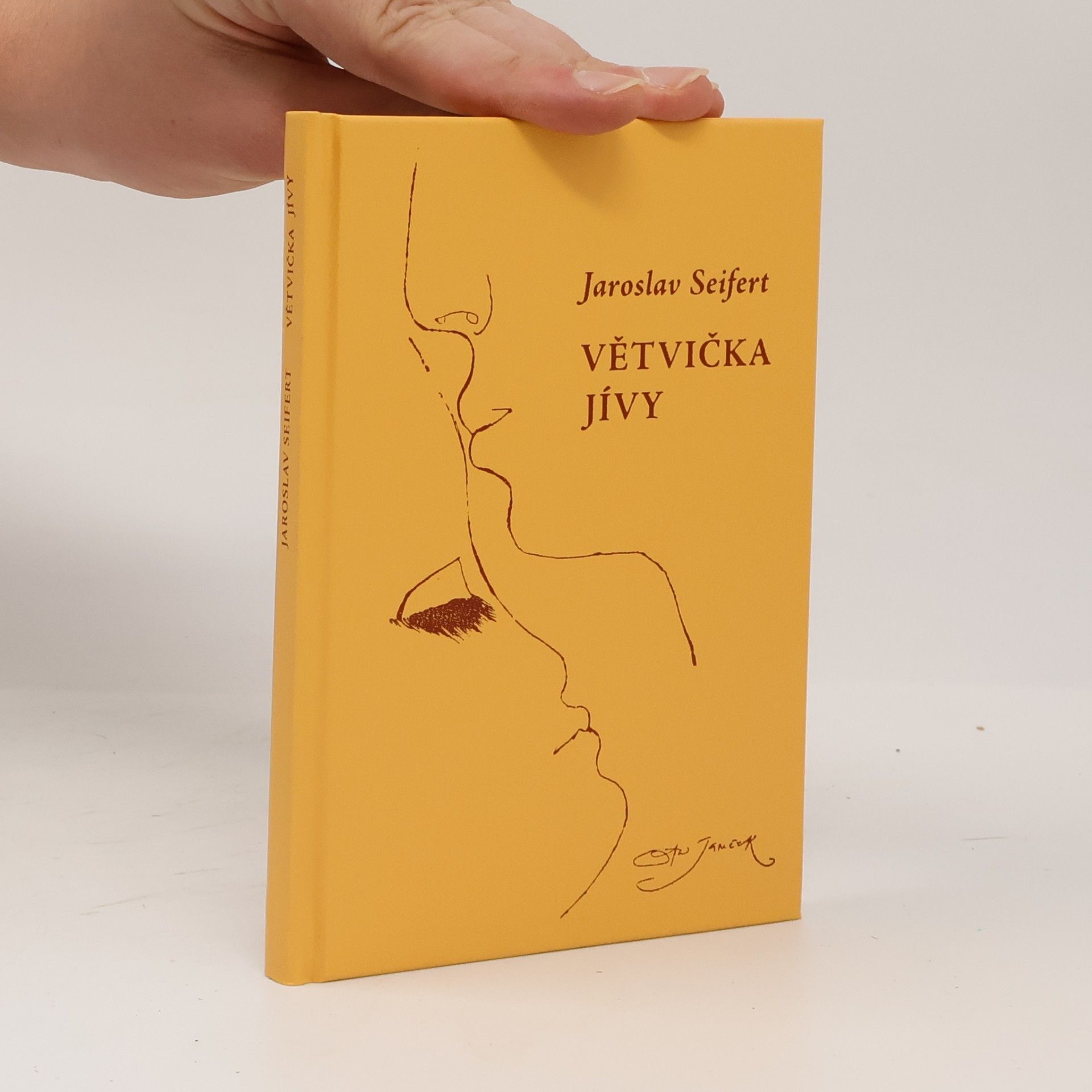 Větvička jívy