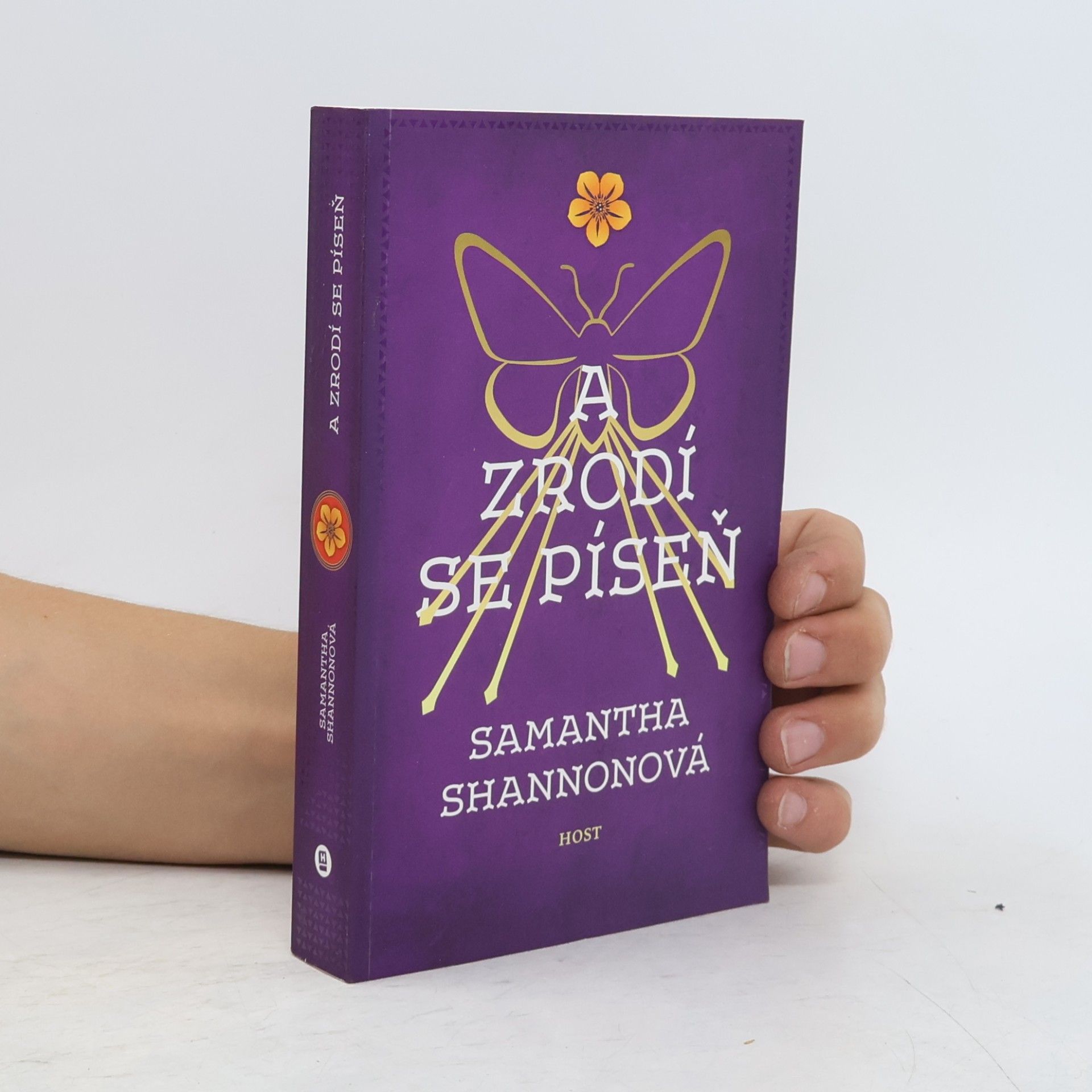 Samantha Shannon A zrodí se píseň