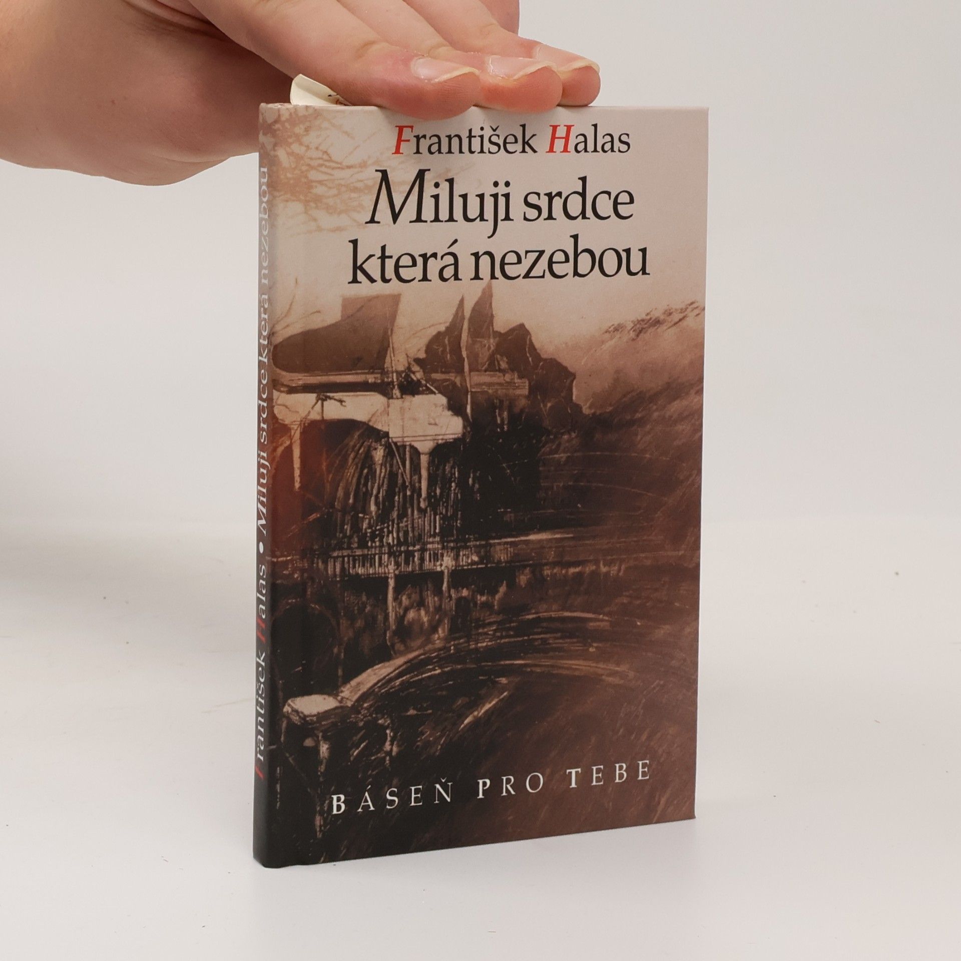 Miluji srdce která nezebou
