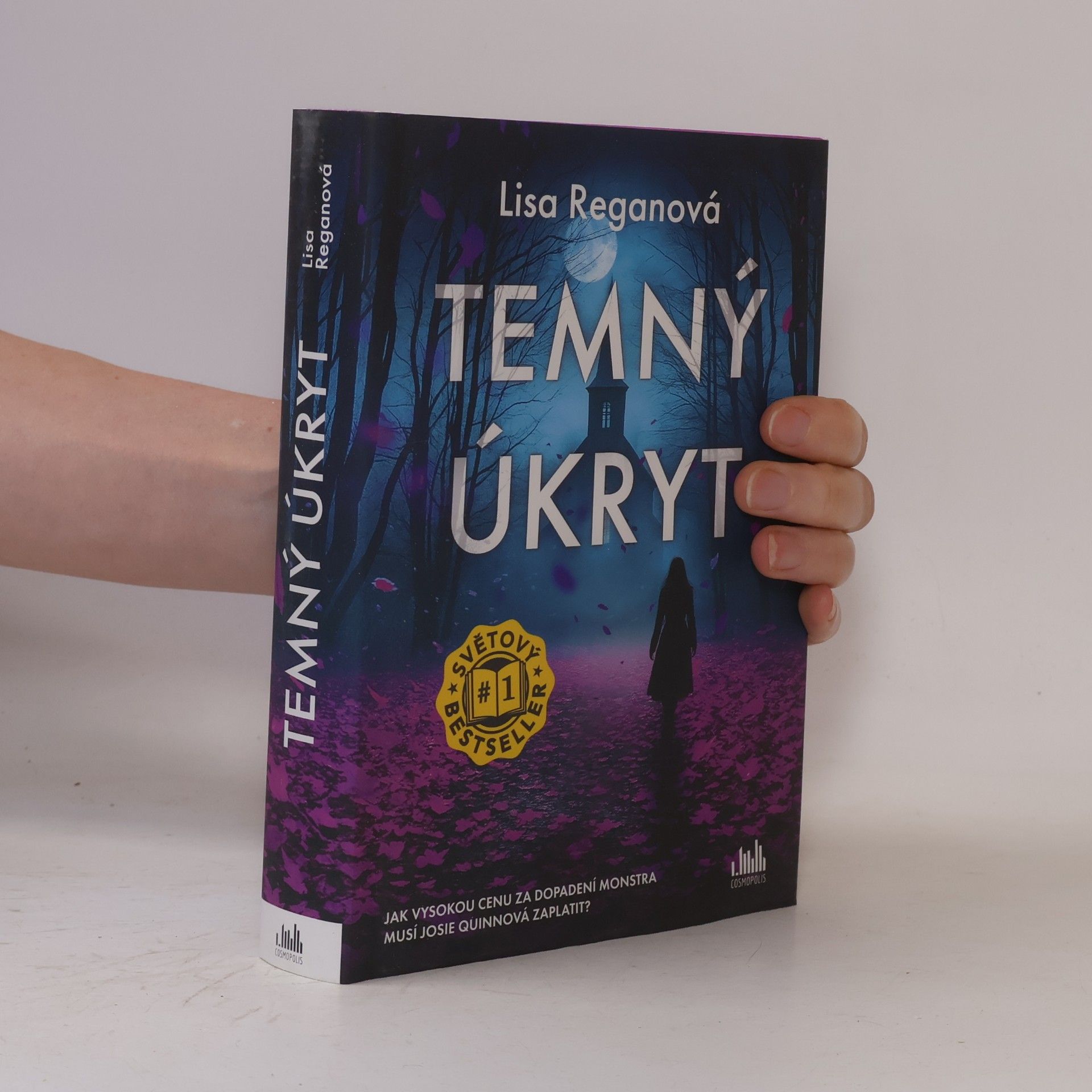 Lisa Regan Temný úkryt