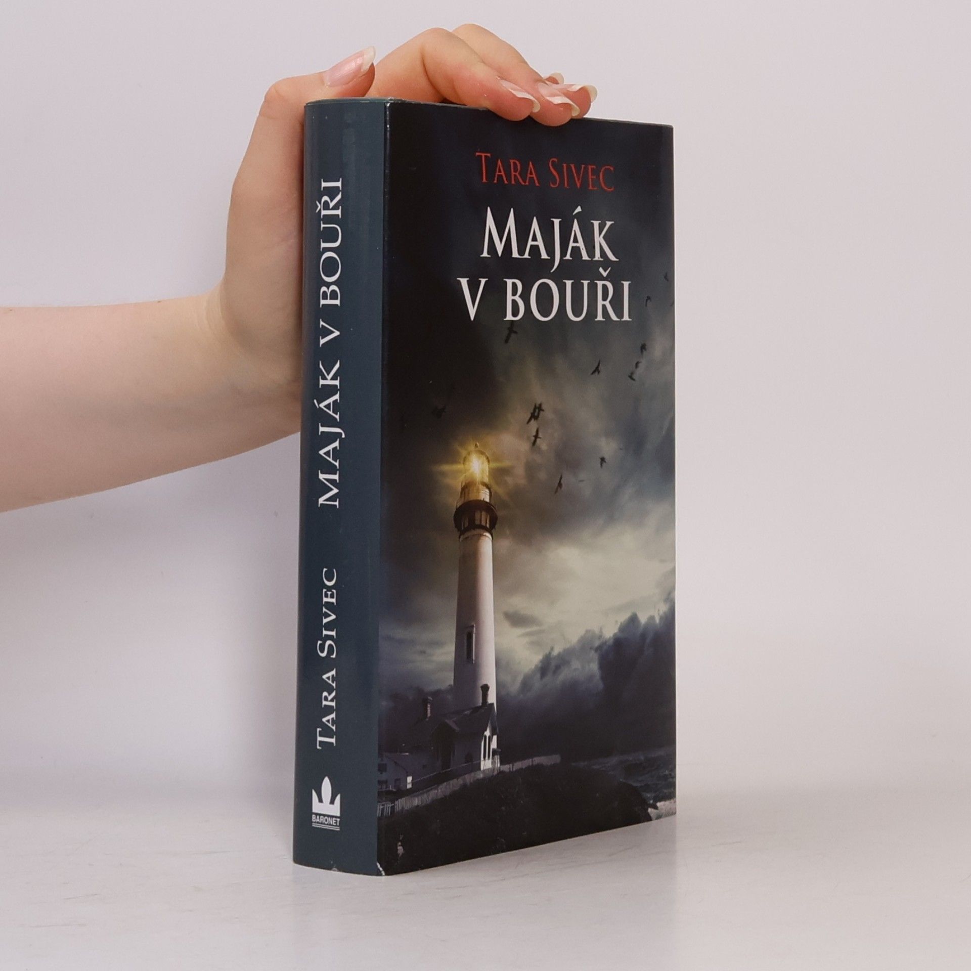 Tara Sivec Maják v bouři