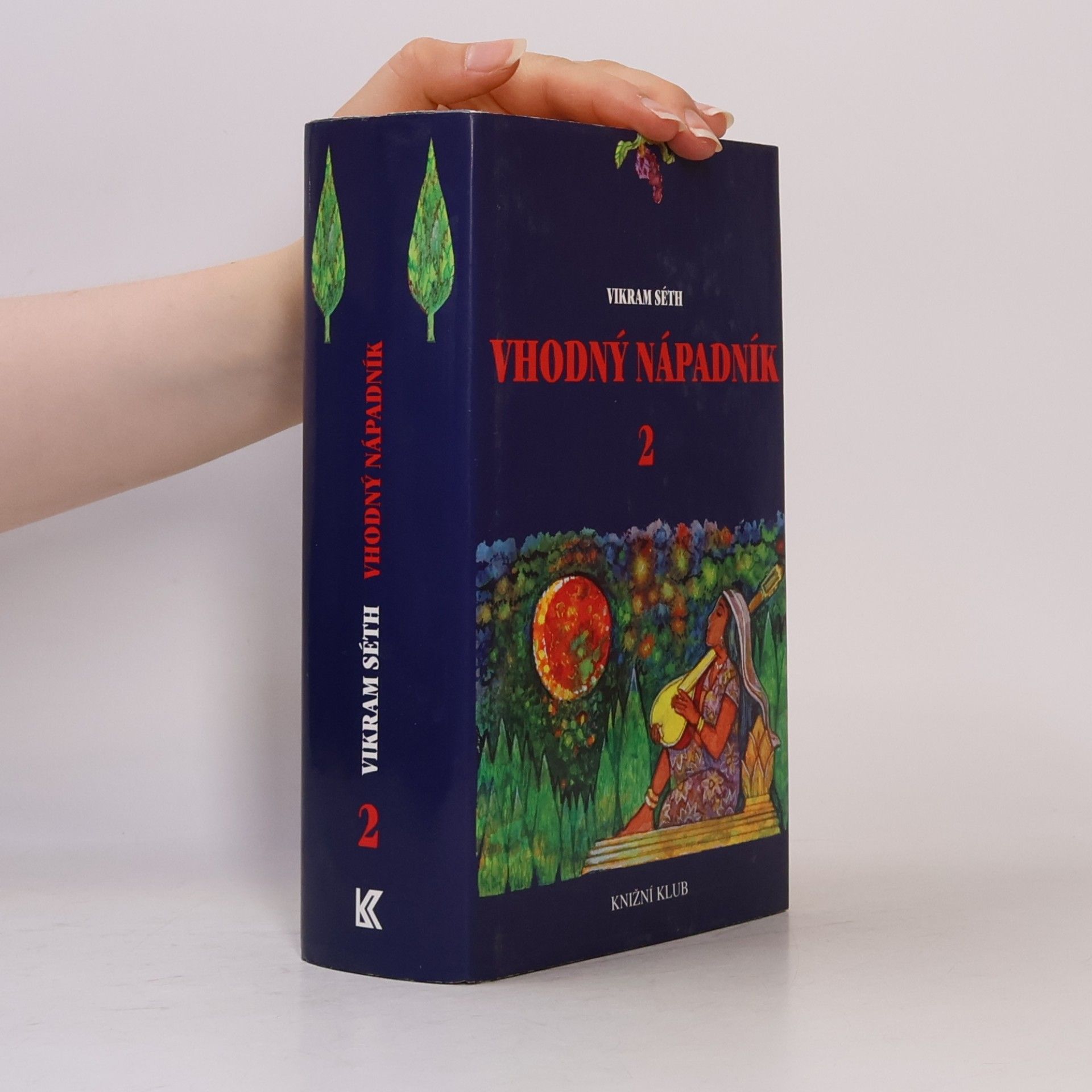 Vikram Seth Vhodný nápadník 2