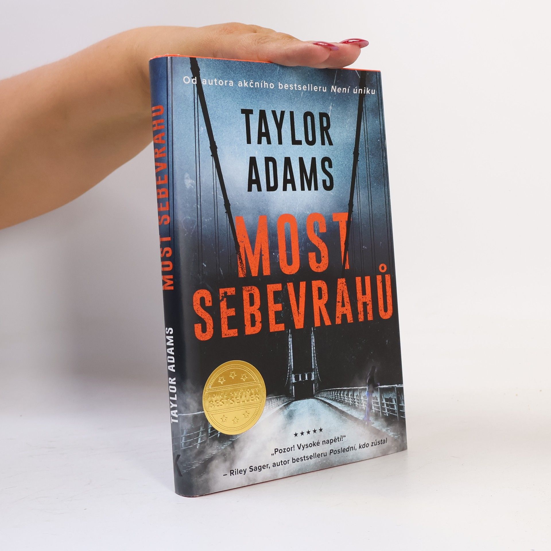 Taylor Adams Most sebevrahů