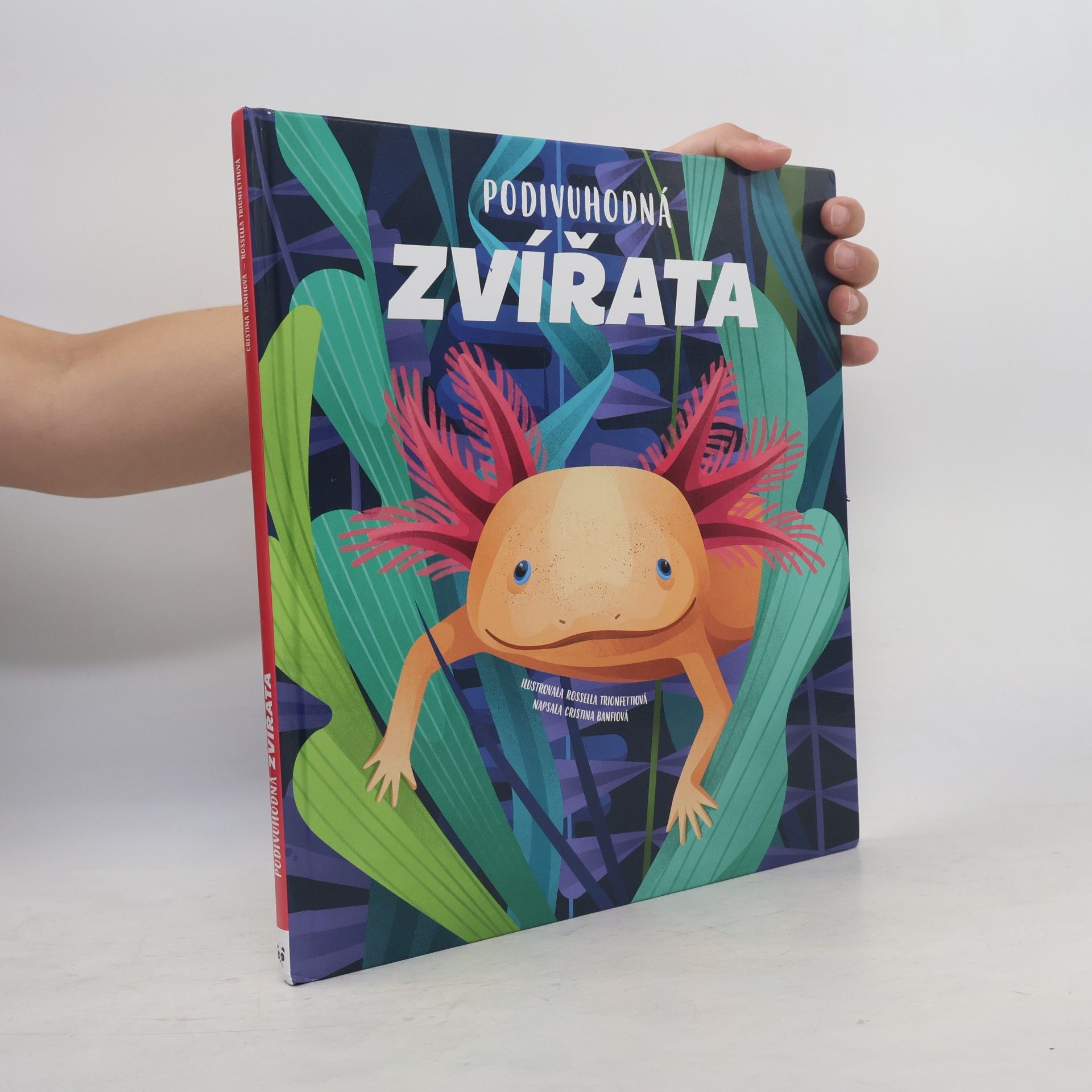 Cristina M. Banfi Podivuhodná zvířata