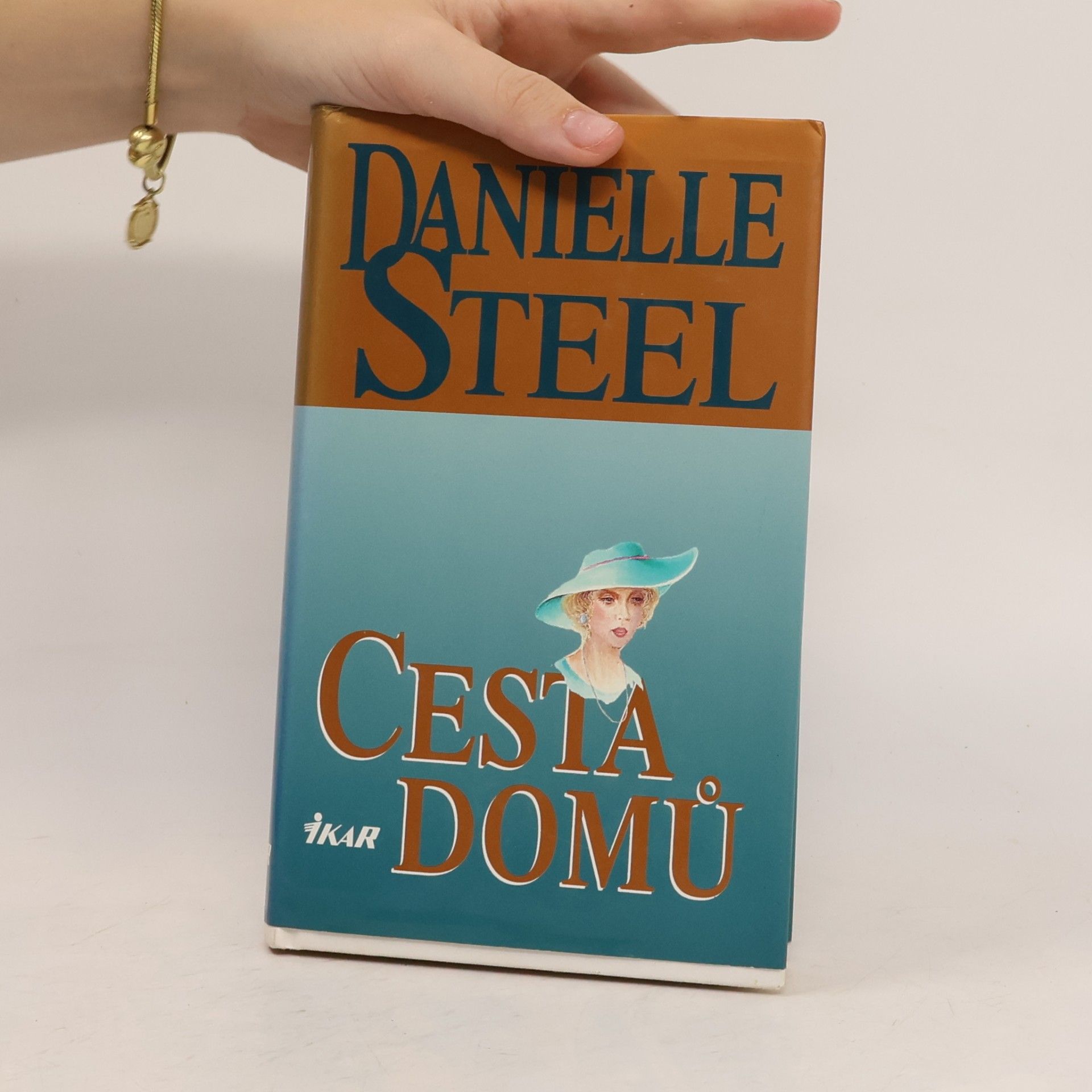 Danielle Steel Cesta domů