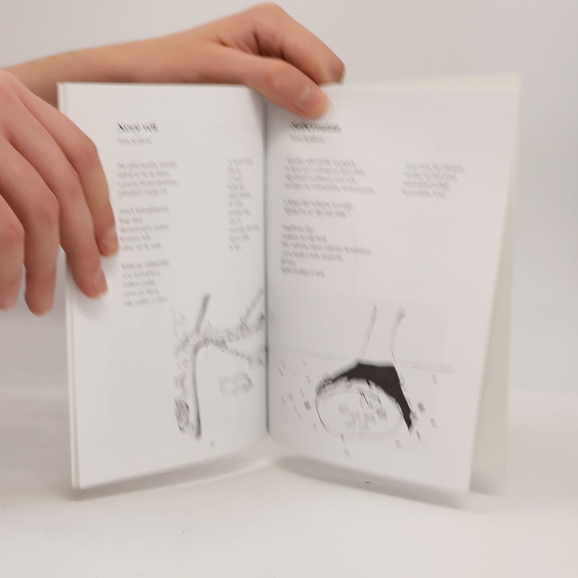 Kolektiv autorů Almanach mladé tvorby