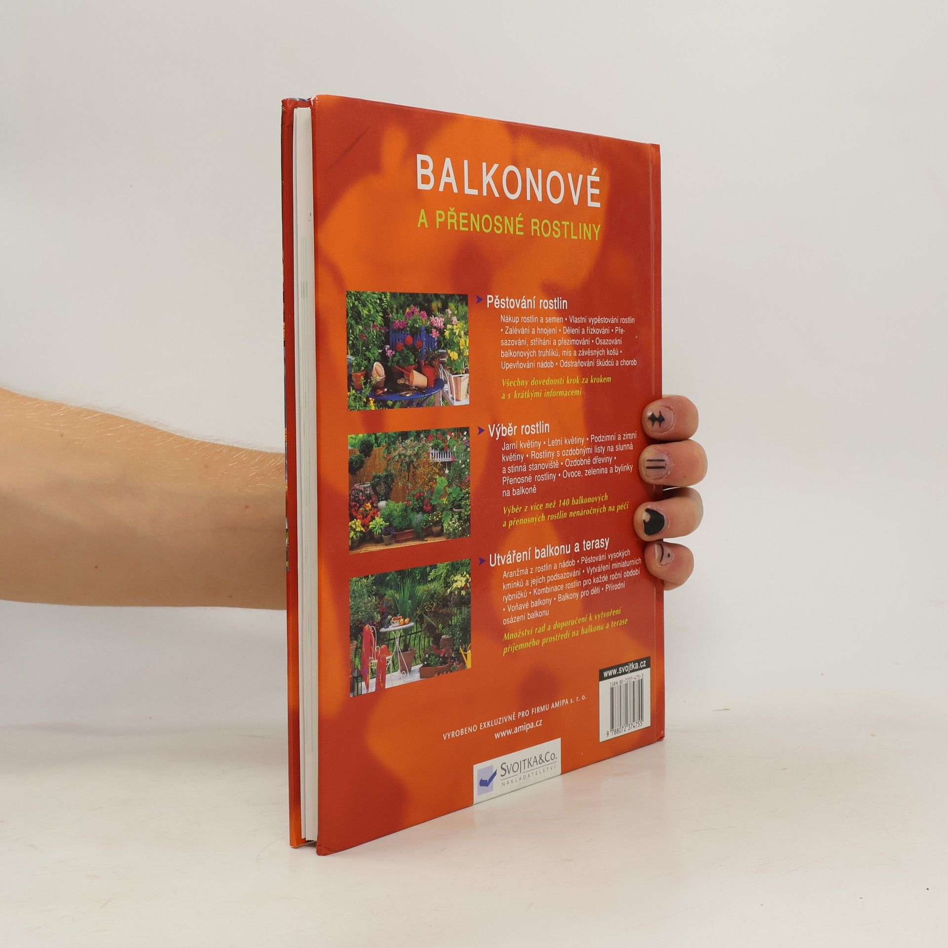 Joachim Mayer Balkonové a přenosné rostliny
