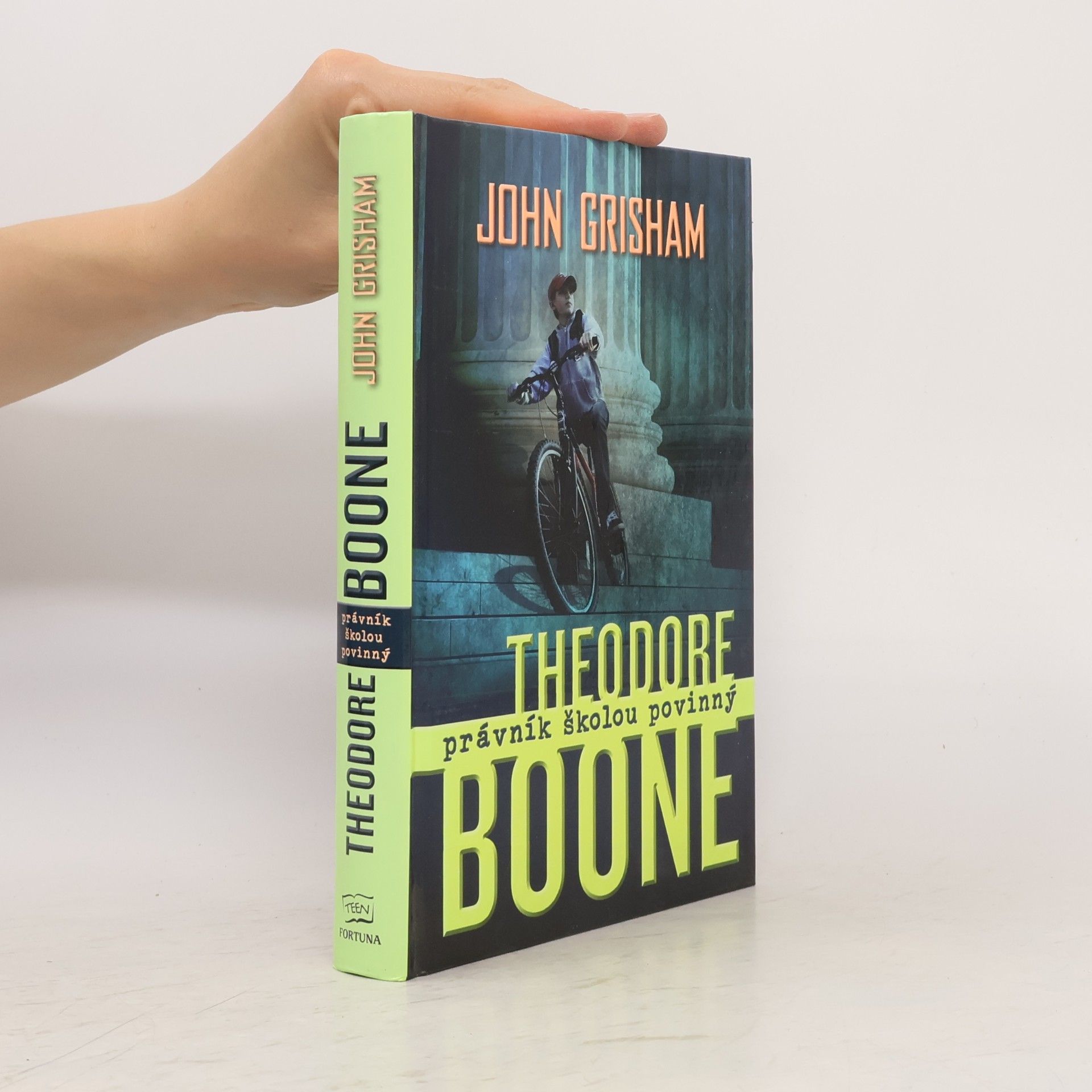 Theodore Boone: Právník školou povinný