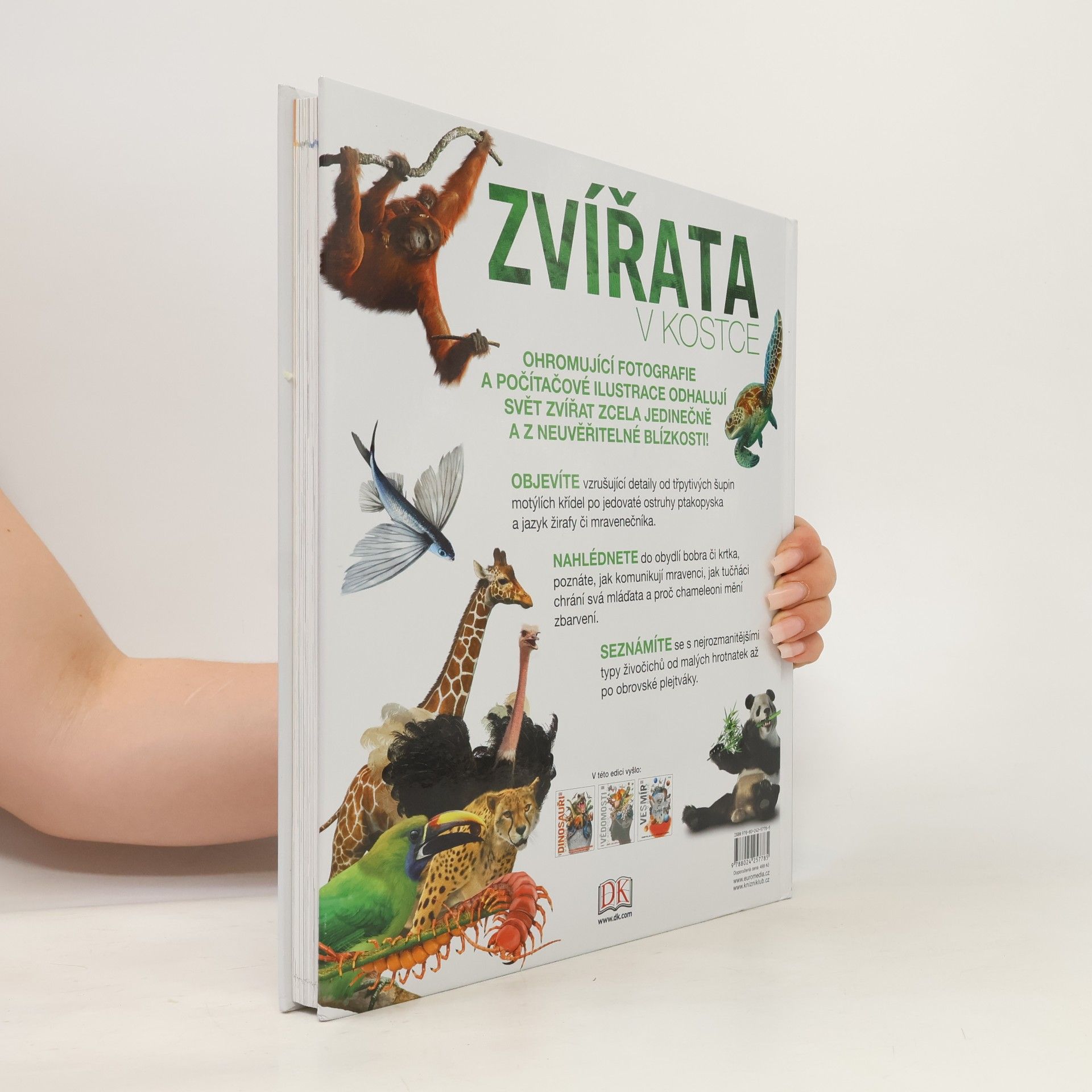 kolektiv Zvířata v kostce