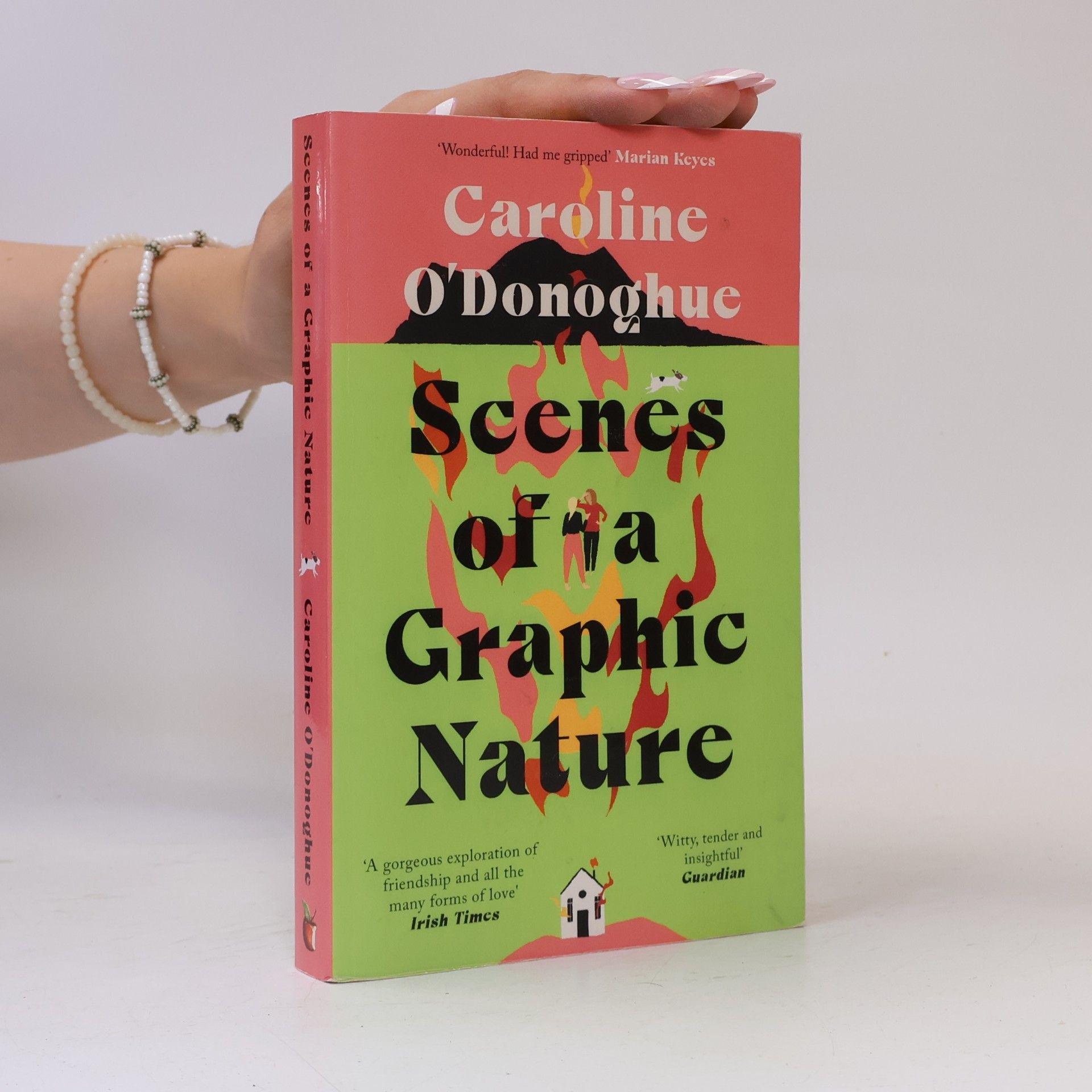 Caroline O. Donoghue Scenes of a Graphic Nature