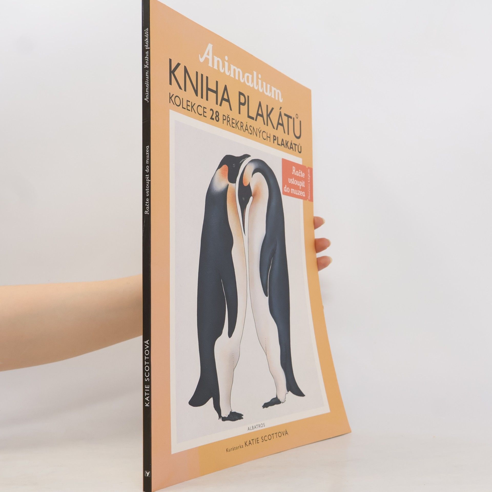 Jenny Broom Animalium. Kniha plakátů