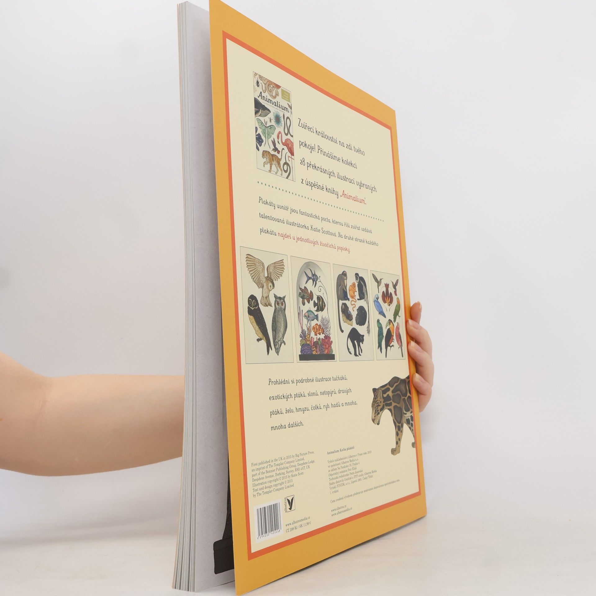 Jenny Broom Animalium. Kniha plakátů