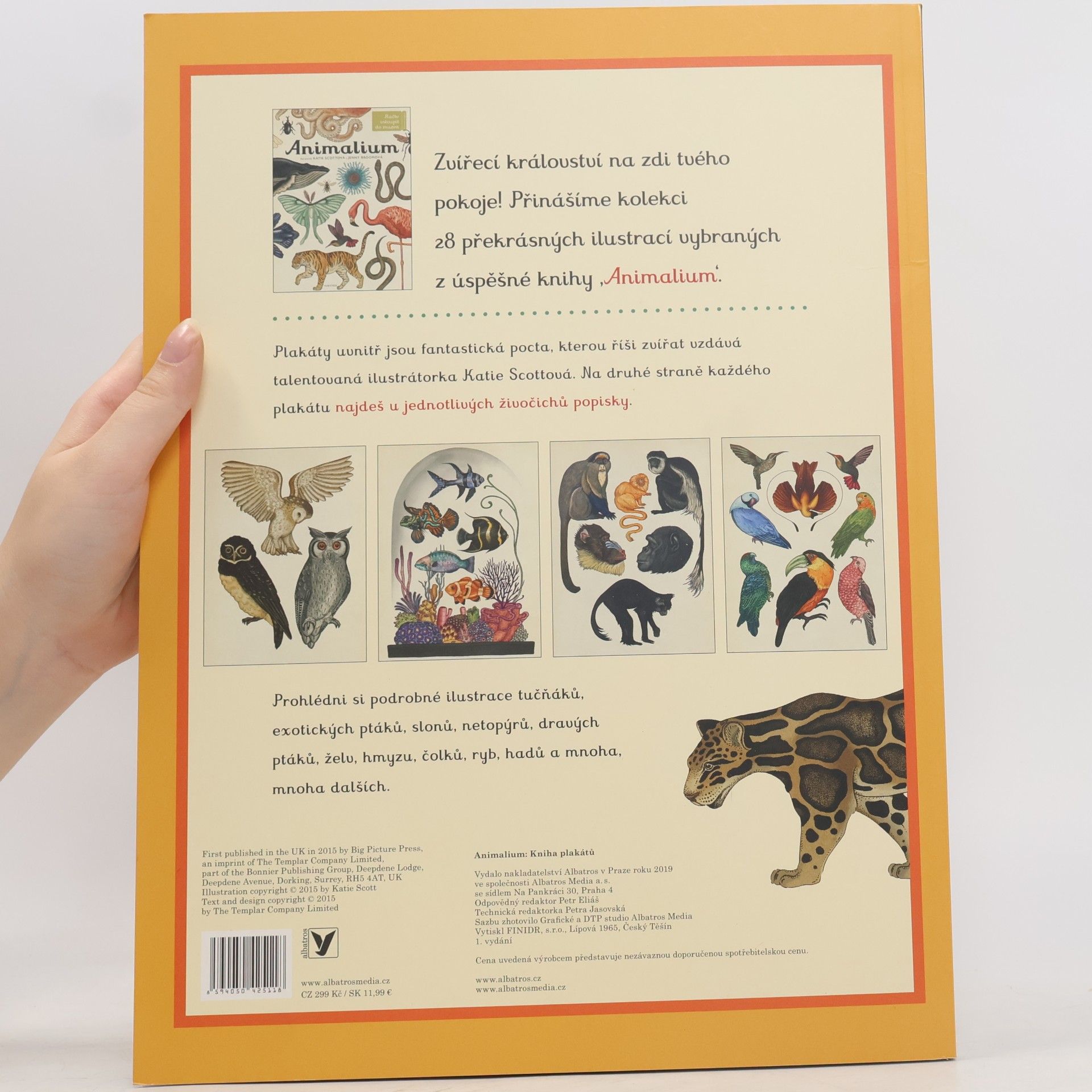 Jenny Broom Animalium. Kniha plakátů