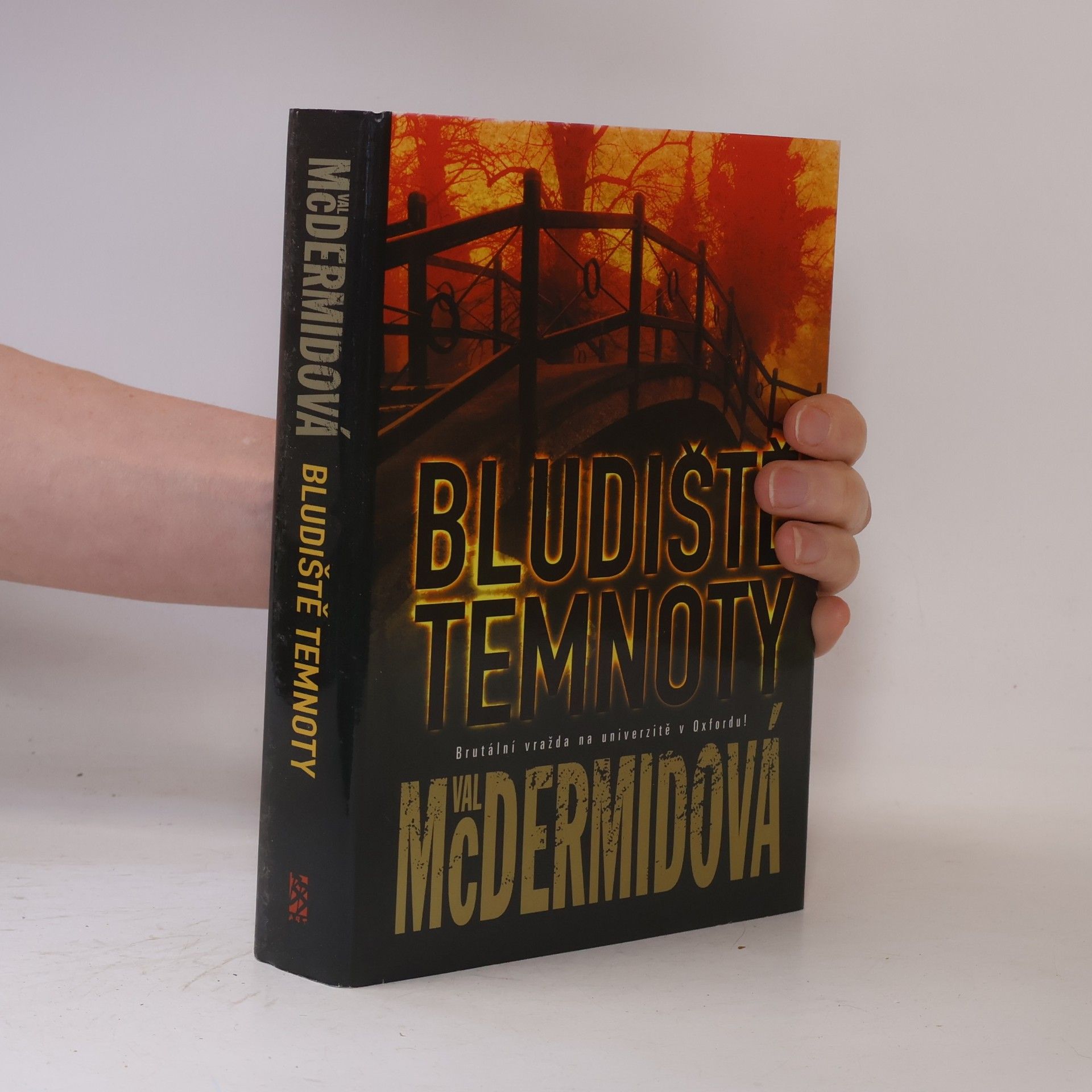 Val McDermid Bludiště temnoty