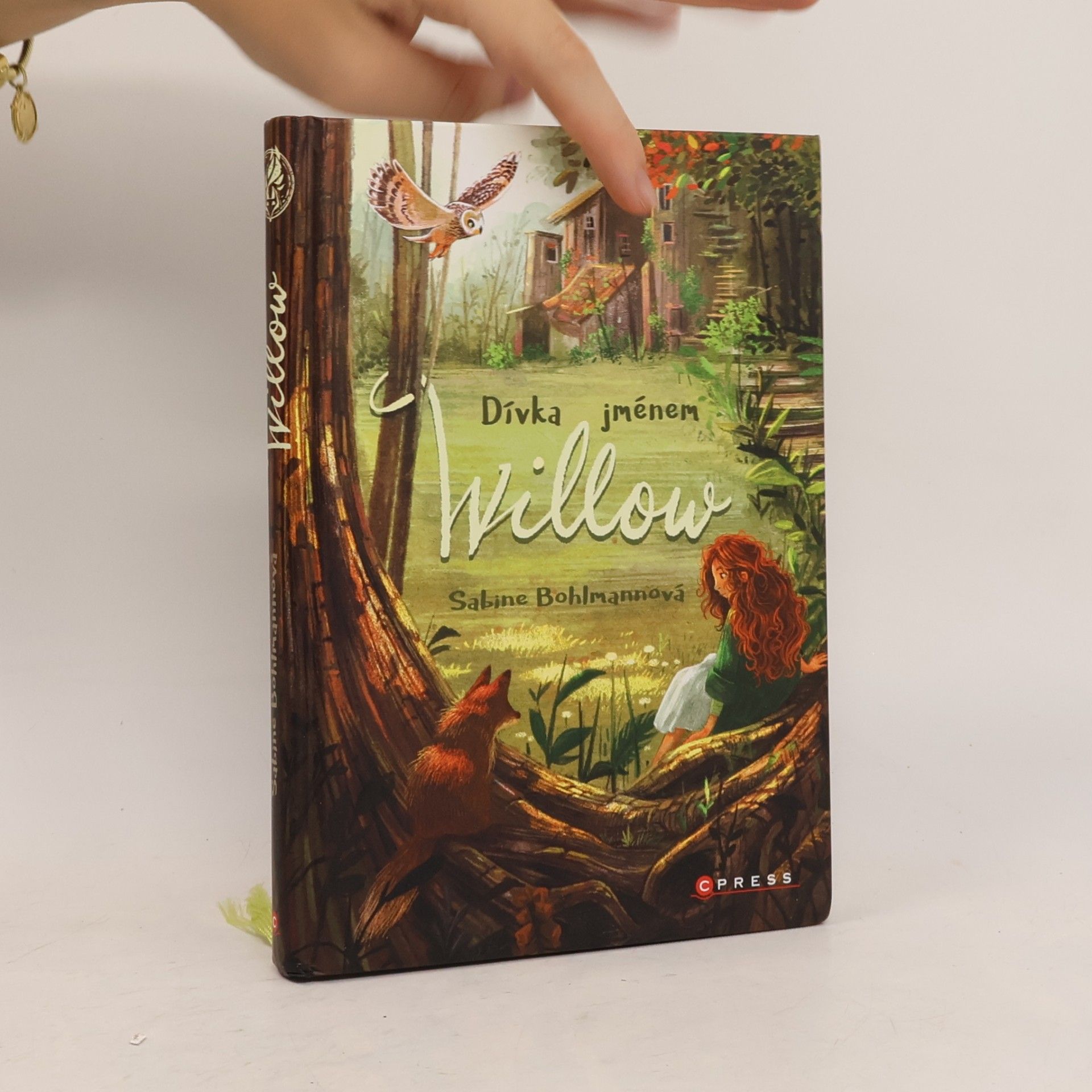 Sabine Bohlmann Dívka jménem Willow
