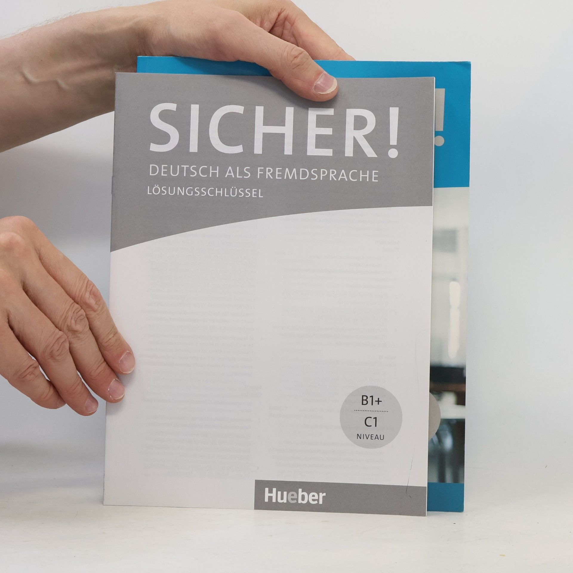 Michaela Perlmann-Balme Sicher Übungsgrammatik B1+-C1