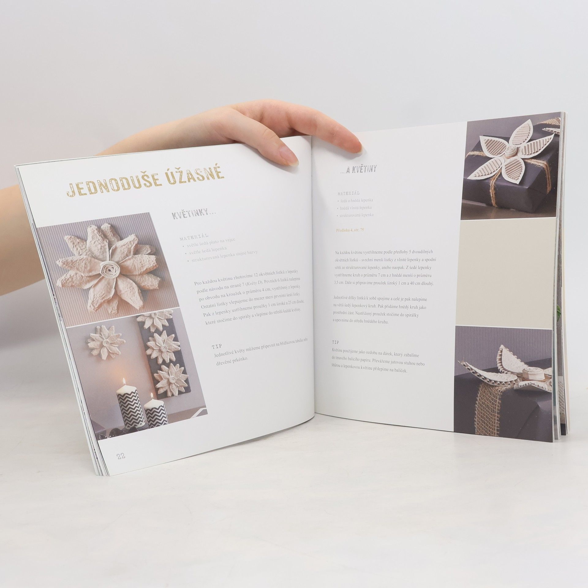 Angelika Kipp Starý papír - nový design: Ze starých knih, balicího papíru, plat od vajec