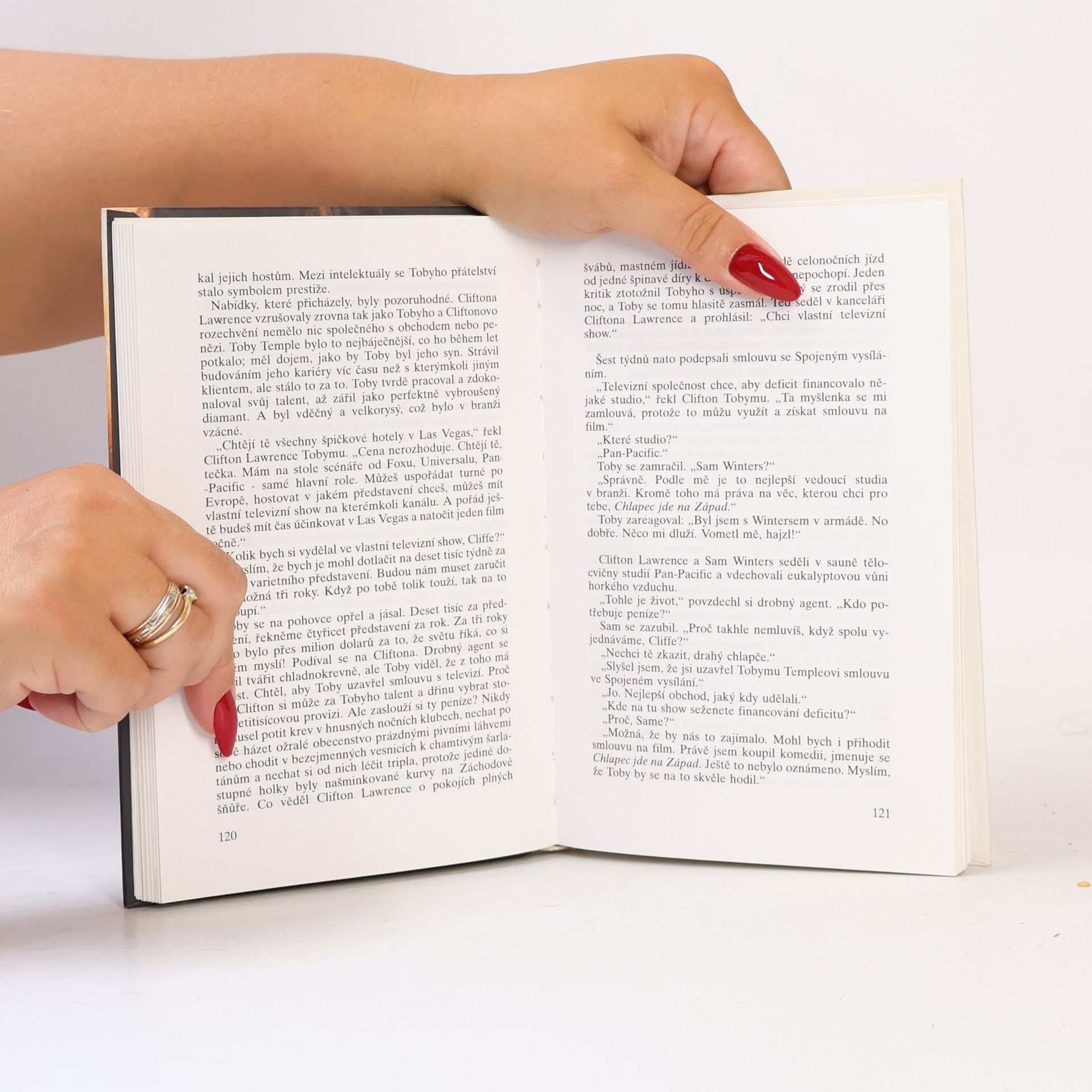 Sidney Sheldon Cizinec v zrcadle