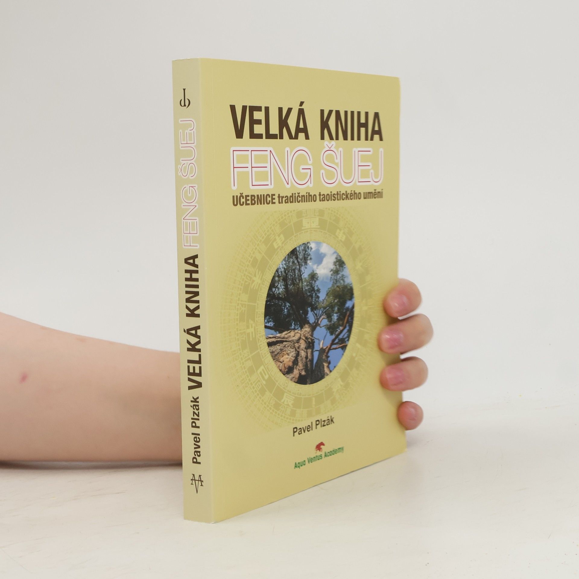 Velká kniha feng-šuej : učebnice tradičního taoistického umění
