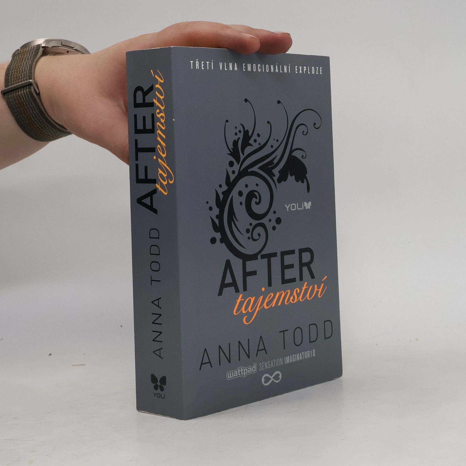 Anna Todd After. Tajemství