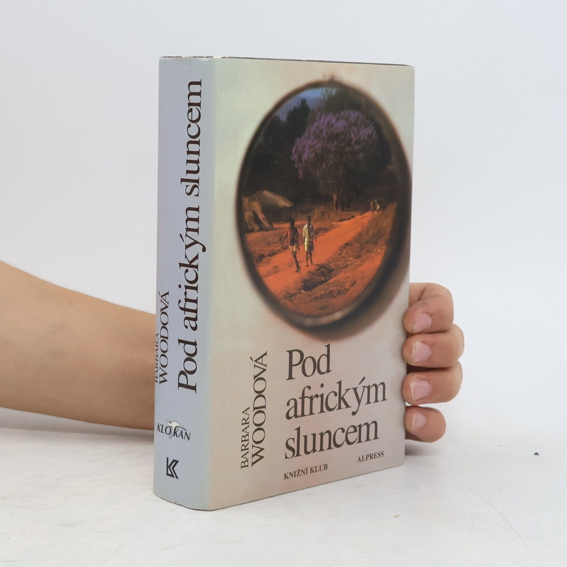 Barbara Wood Pod africkým sluncem