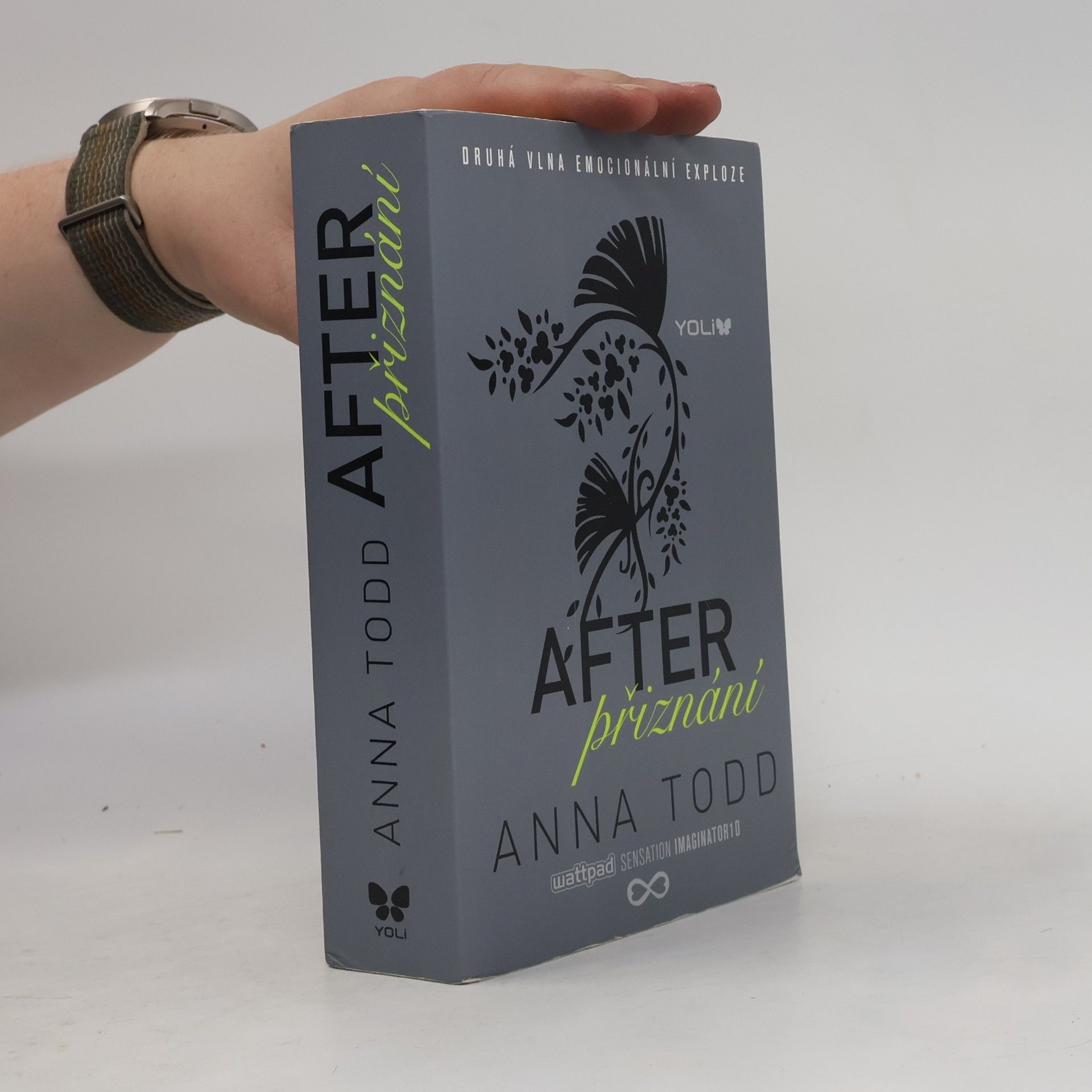 Anna Todd After. Přiznání