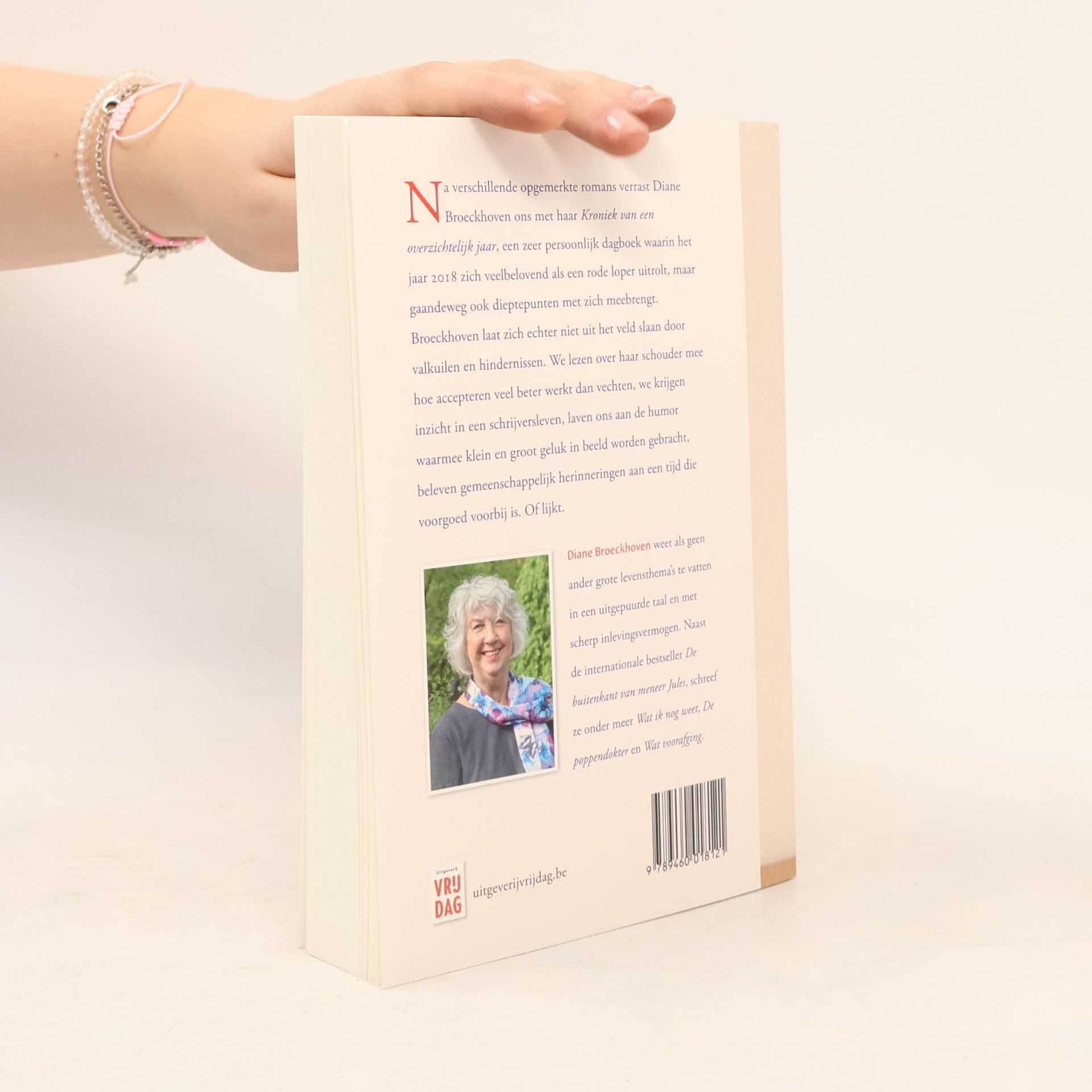 Diane Broeckhoven Kroniek van een overzichtelijk jaar