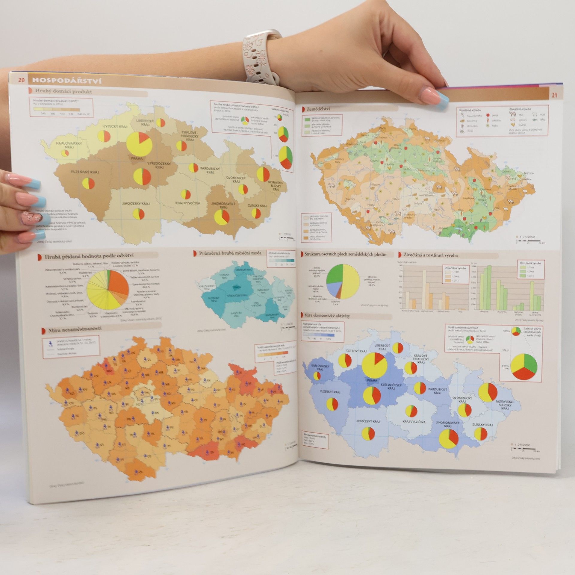 AA.VV. Česko: školní atlas pro základní školy a víceletá gymnázia