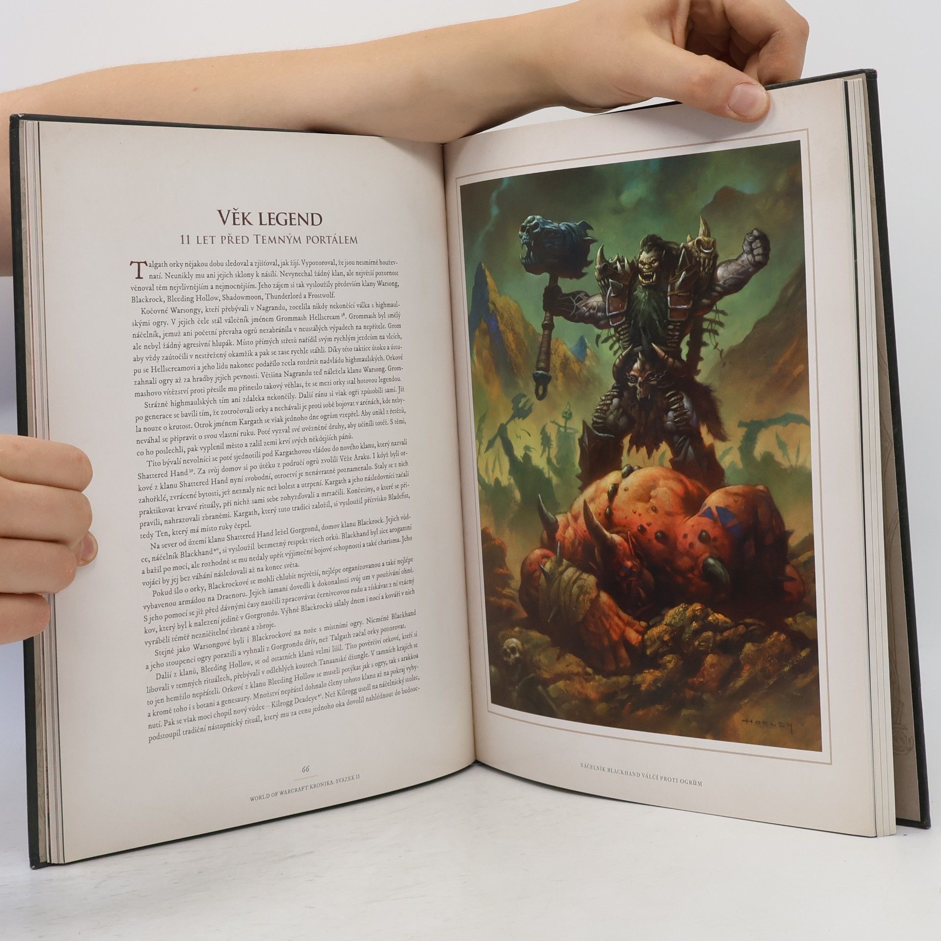 Kolektiv autorů World of WarCraft. Kronika. Svazek II