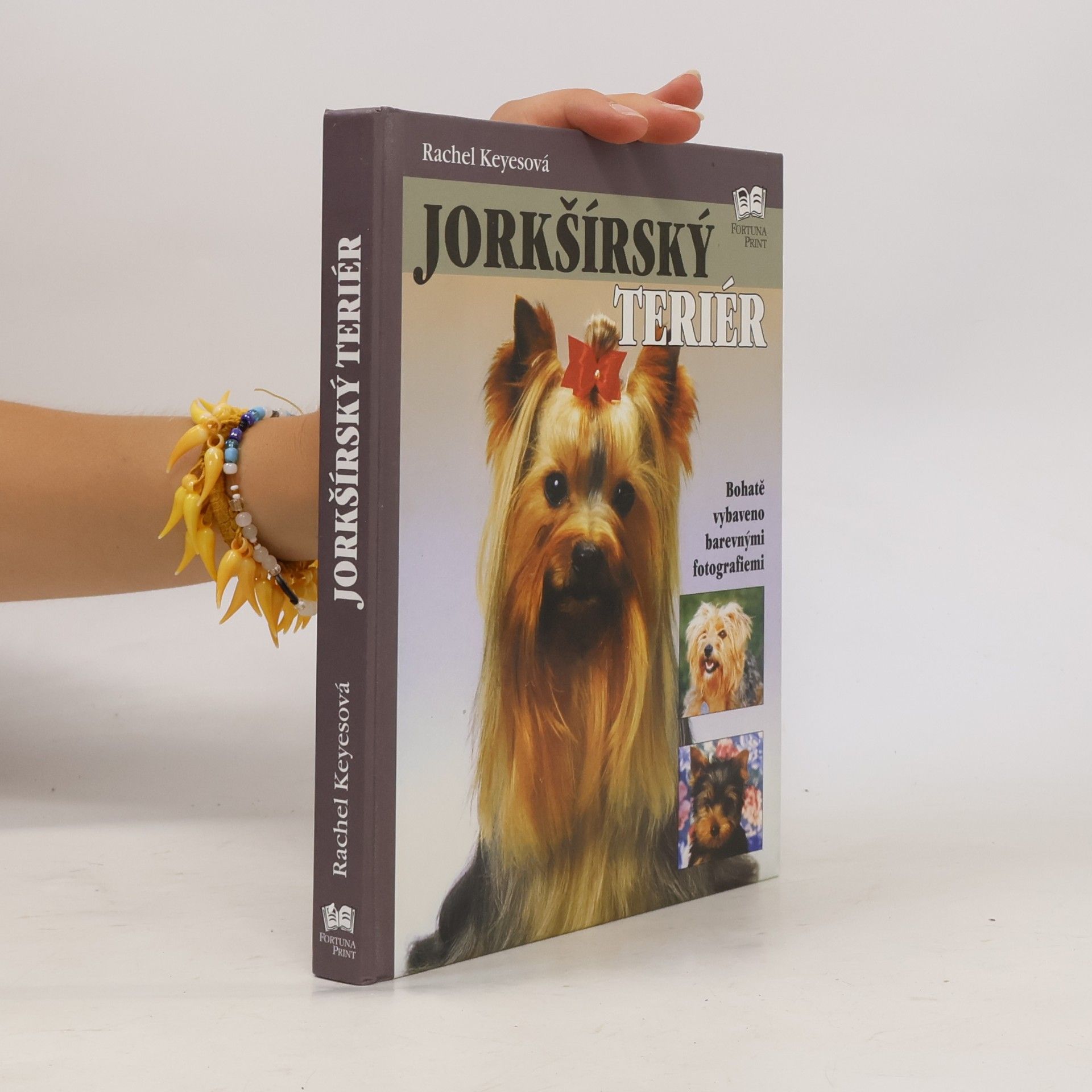 Rachel Keyes Jorkšírský teriér