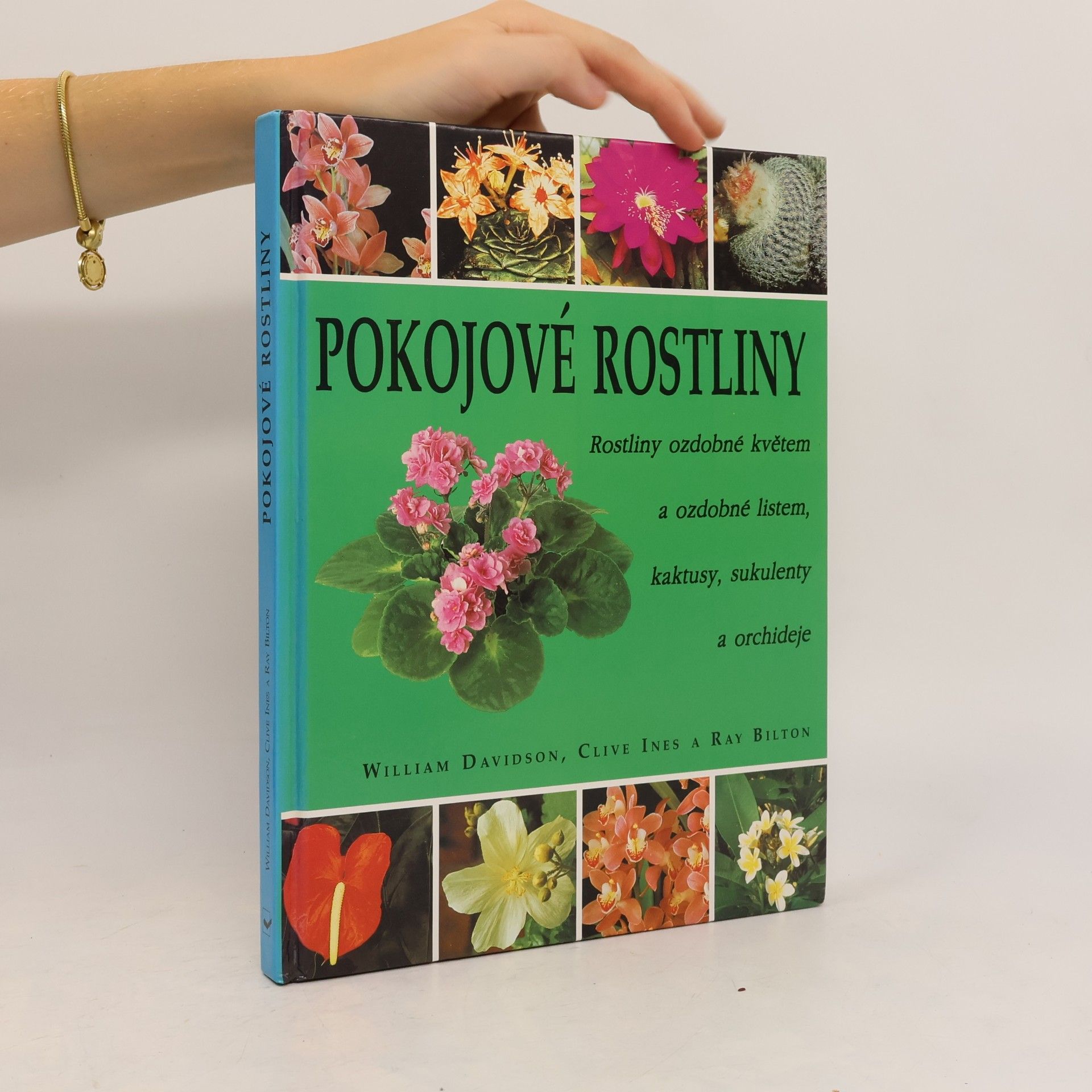 Ray Bilton Pokojové rostliny: Rostliny ozdobné květem a ozdobné listem, kaktusy, sukulenty a orchideje