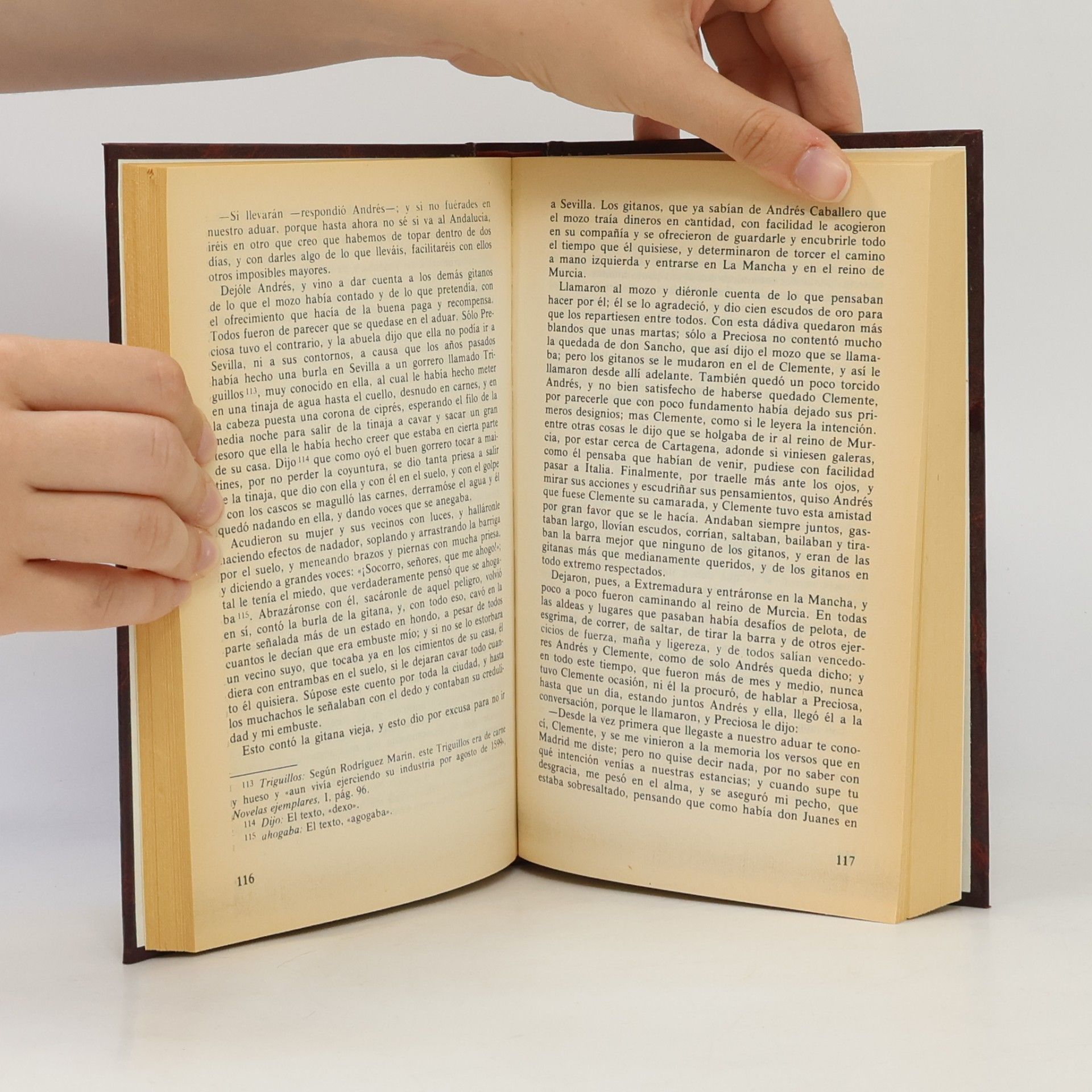 Miguel de Cervantes Novelas ejemplares I.