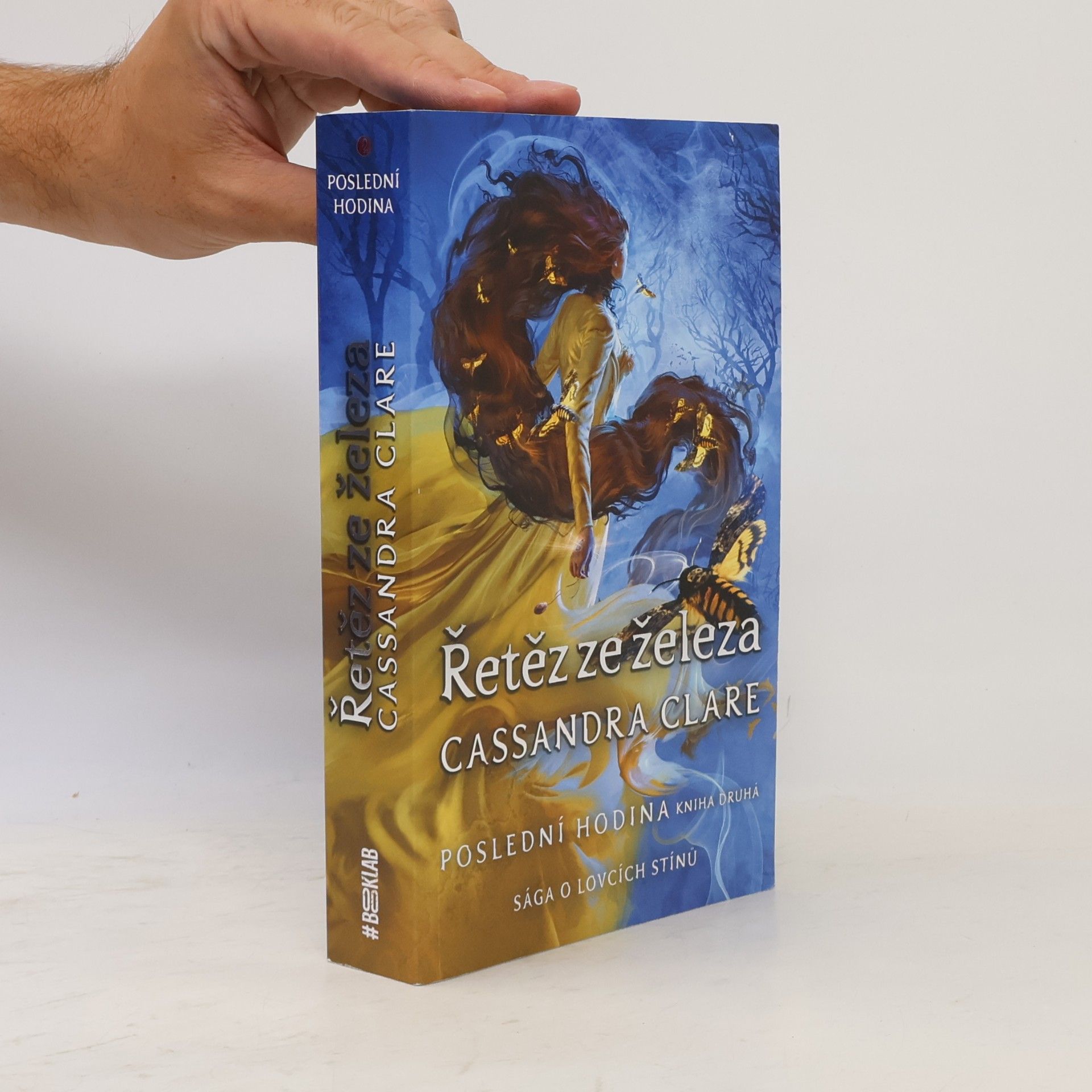 Cassandra Clare Poslední hodina. Kniha druhá, Řetěz ze železa