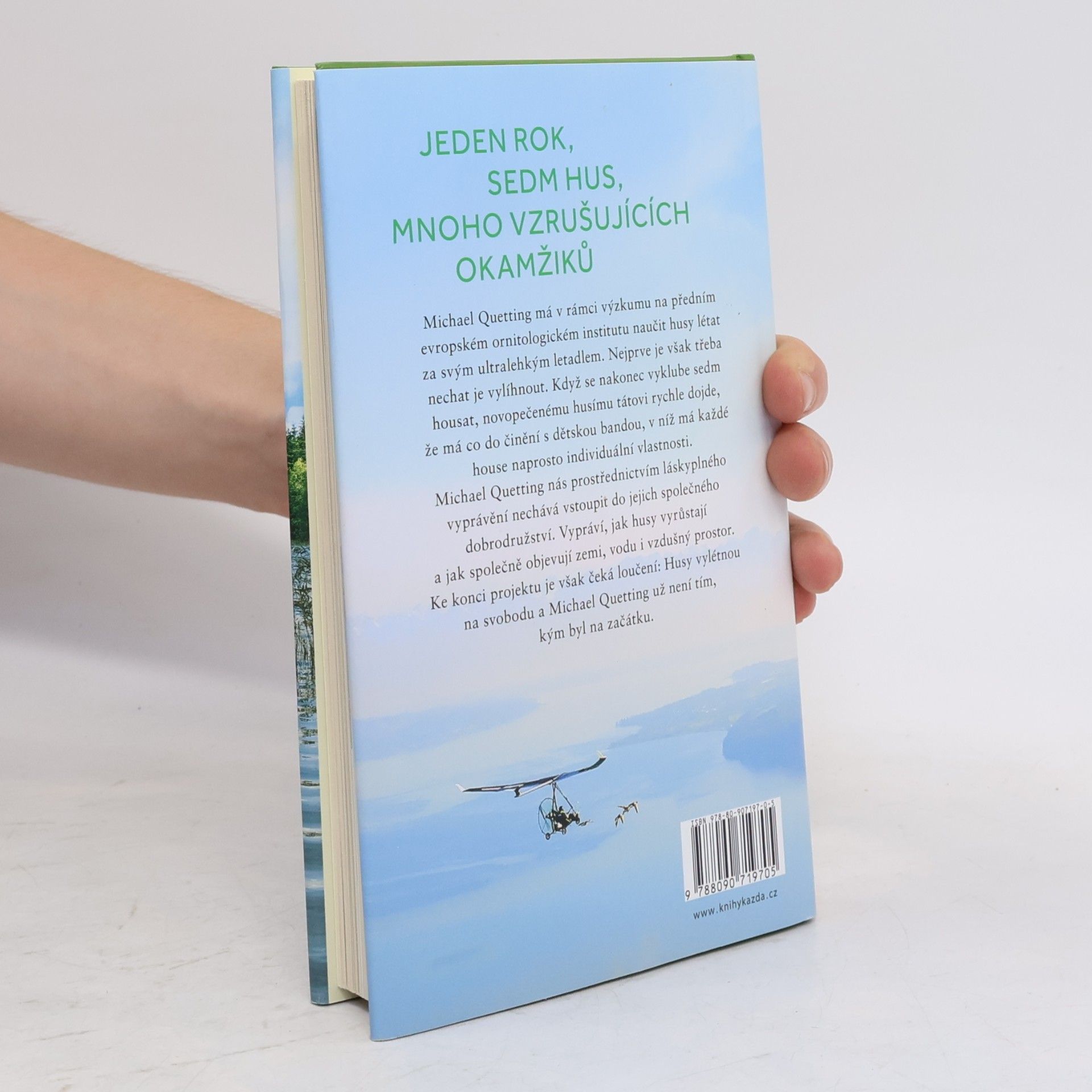 Michael Quetting Husí táta. Sedm divokých hus a objevování fascinujícího světa.