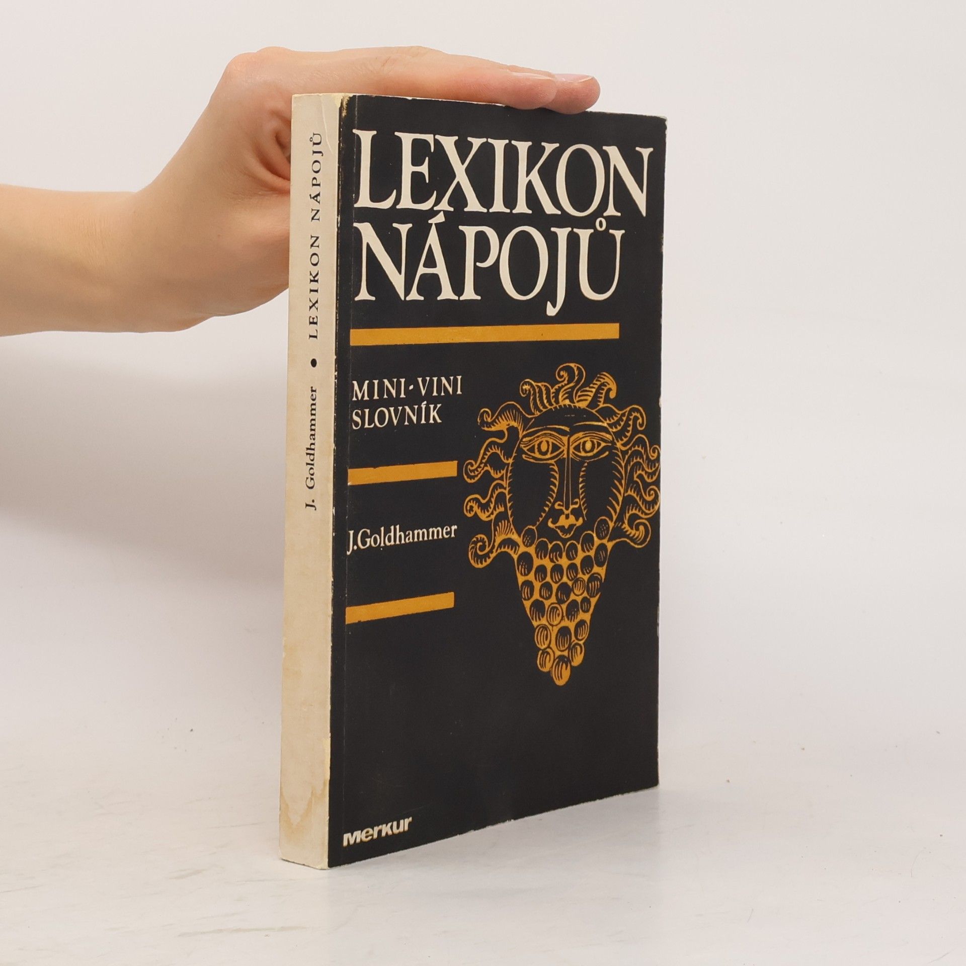 Jan Goldhammer Lexikon nápojů. Mini-vini slovník
