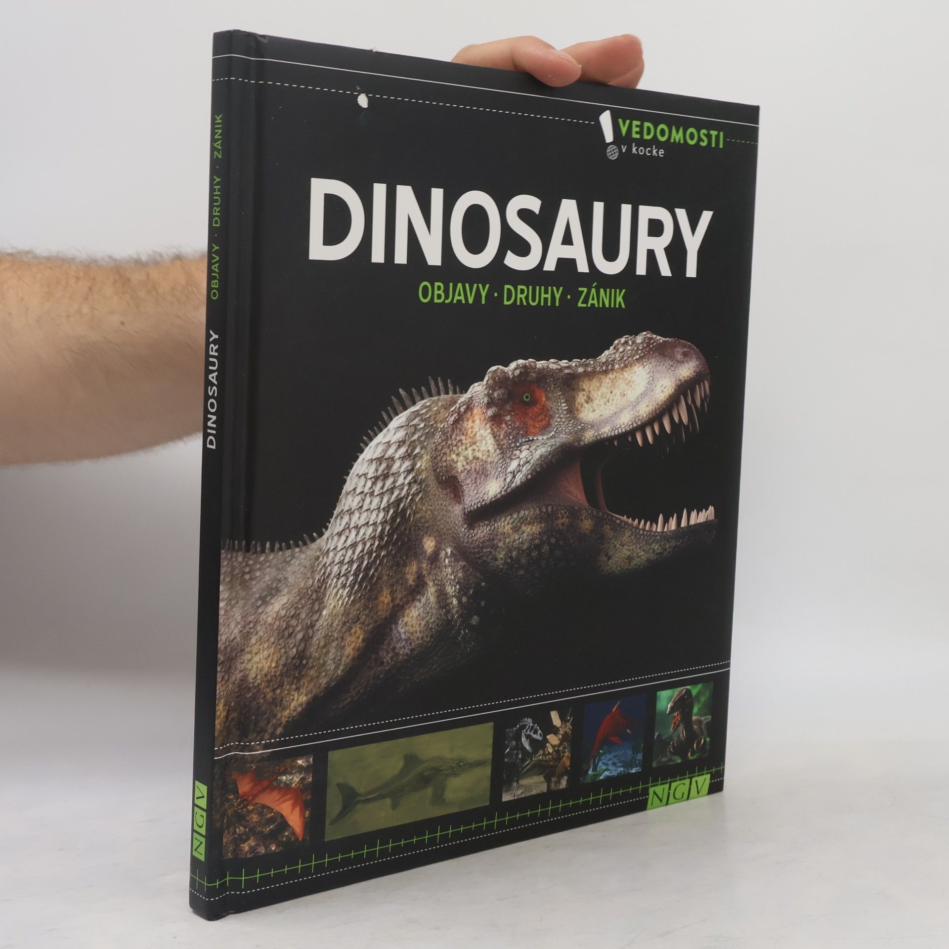Autorenkollektiv Dinosaury