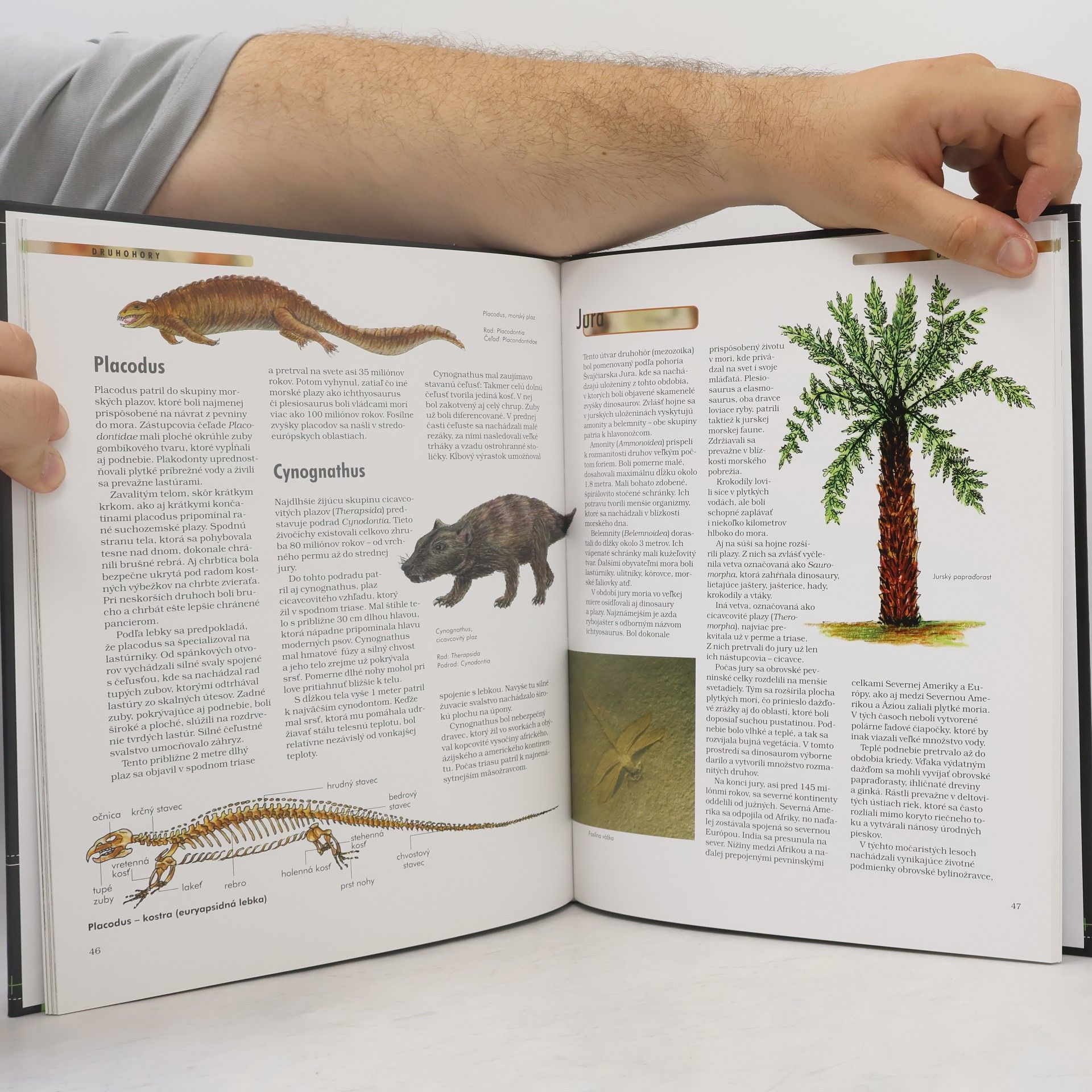 Autores varios Dinosaury