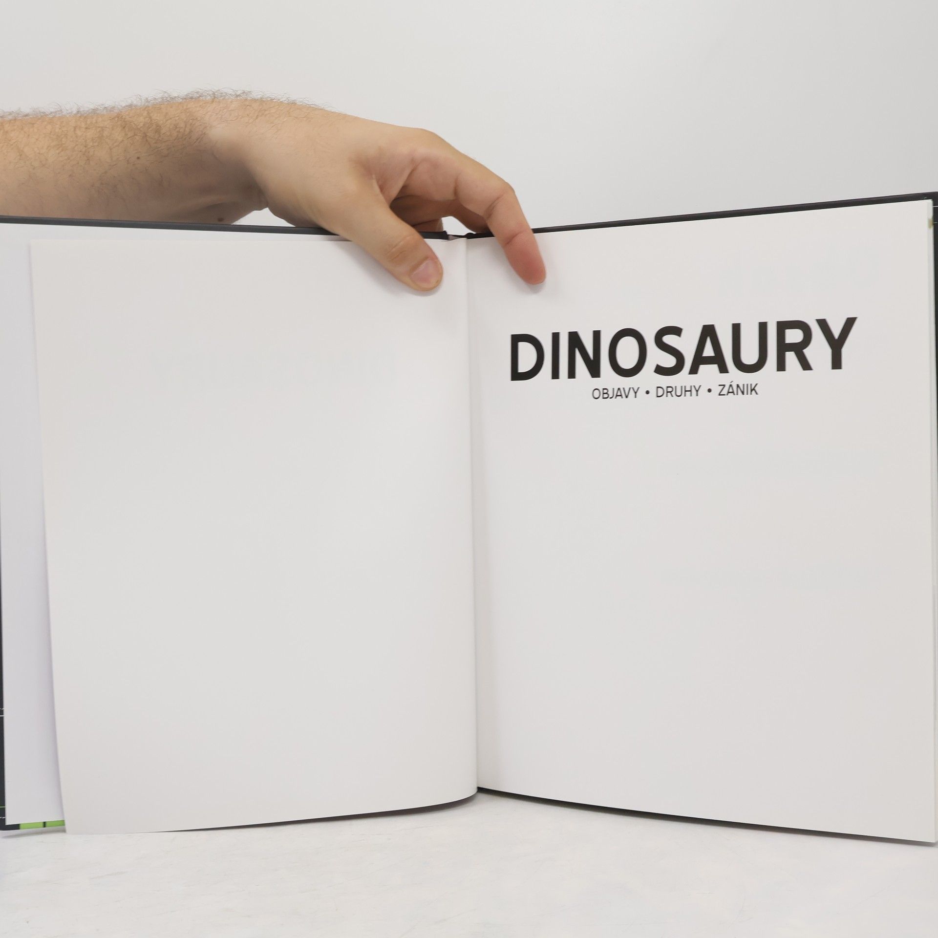 Autores varios Dinosaury