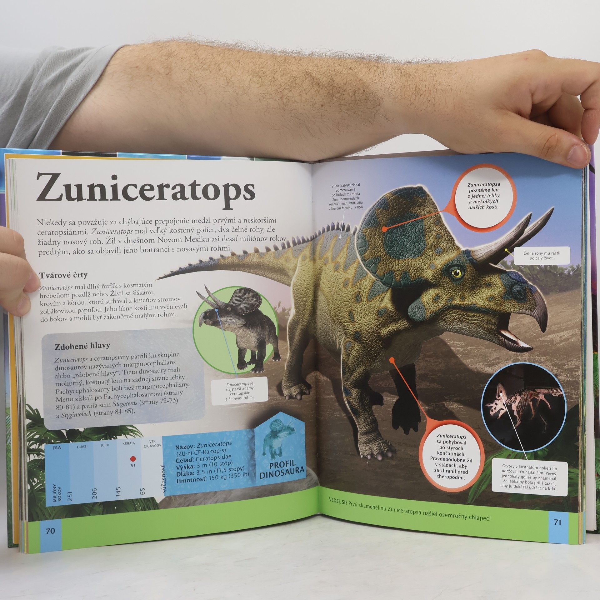 Michaela Beňová Detská encyklopédia dinosaurov