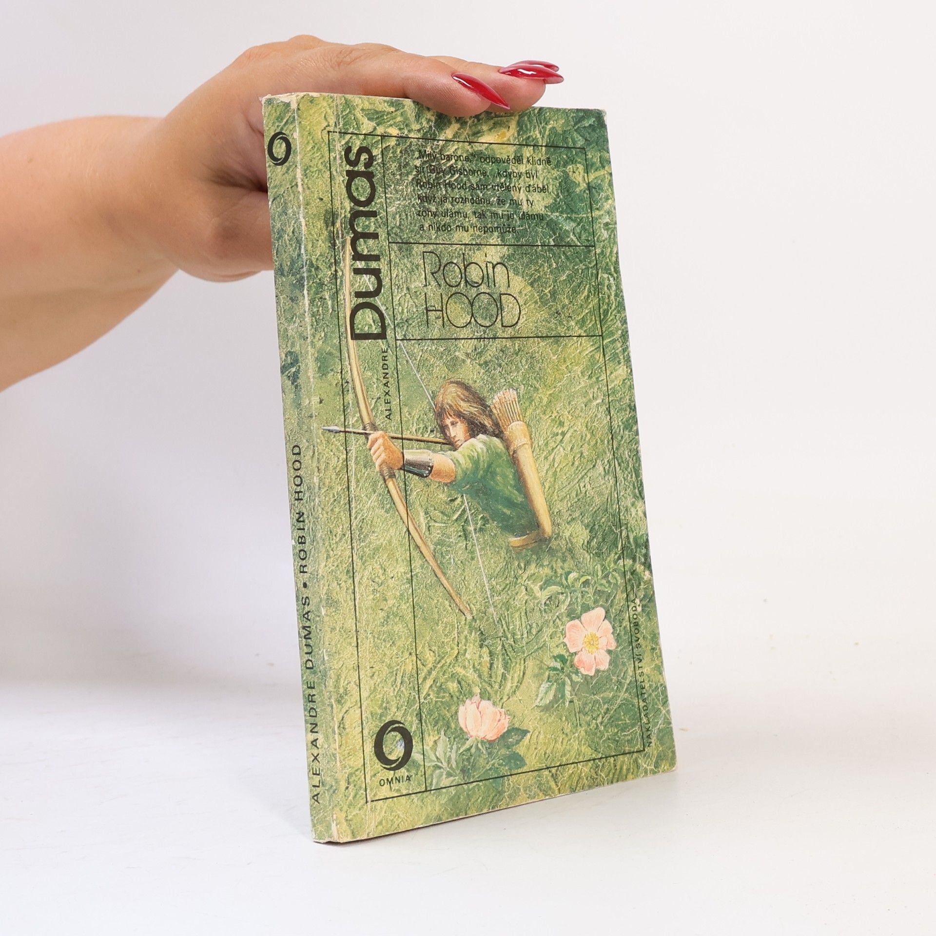 Alexandre Dumas Robin Hood