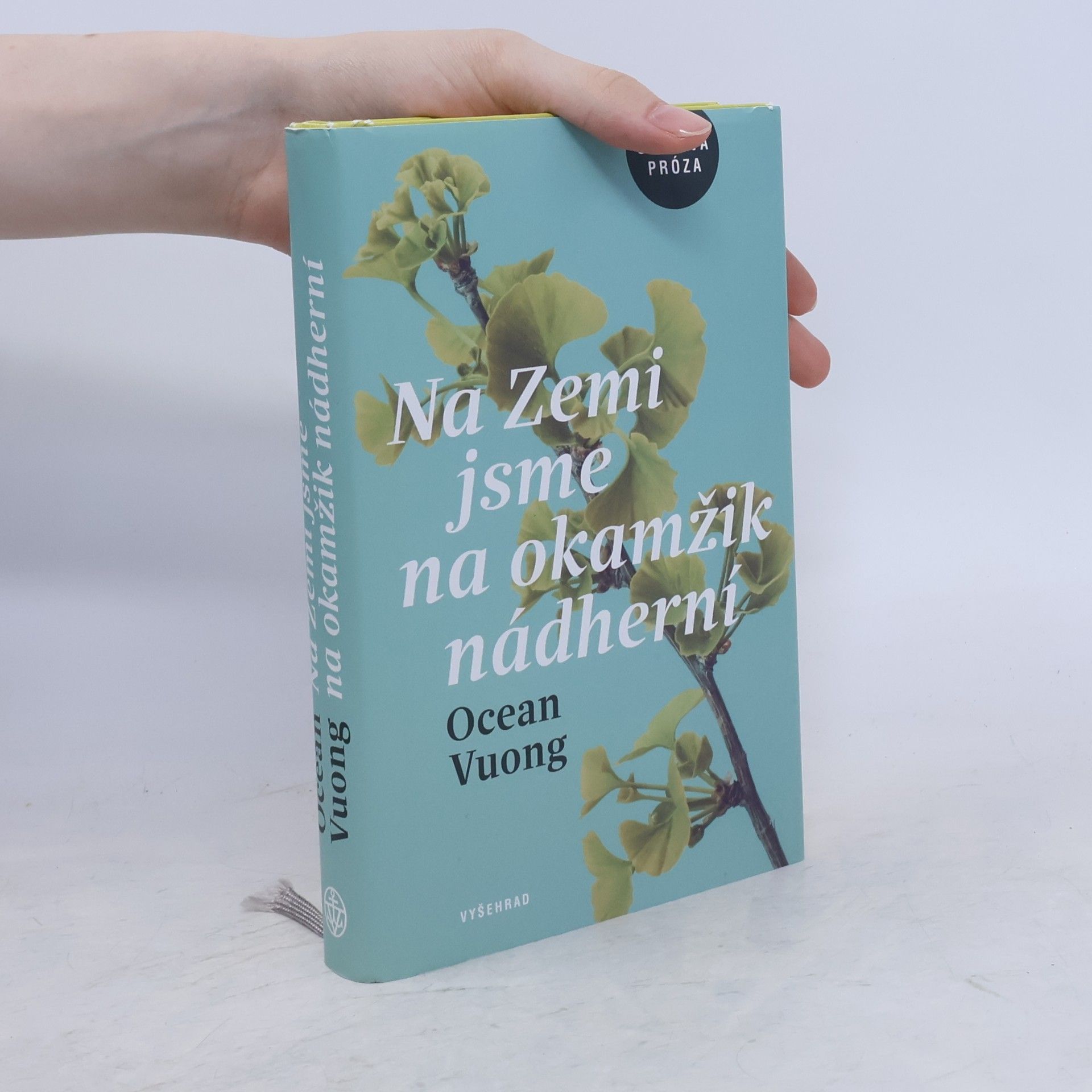 Ocean Vuong Na Zemi jsme na okamžik nádherní