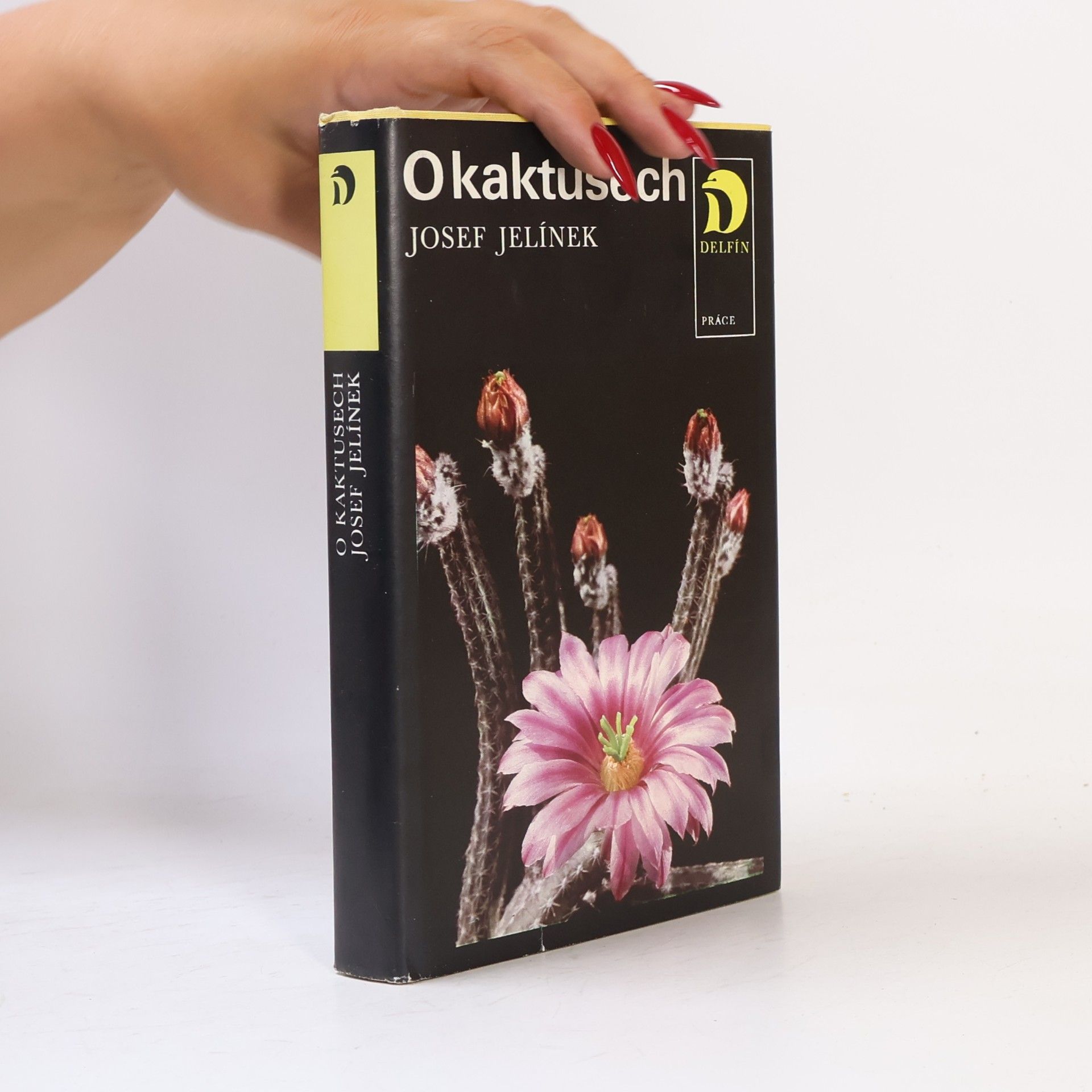 O kaktusech